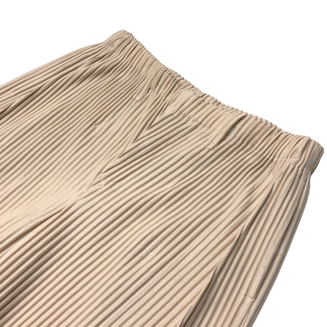 HOMME PLISSE ISSEY MIYAKE(オムプリッセイッセイミヤケ) center pleat slacks センタープリーツ 総プリーツスラックス HP21JF173 SIZE 3(L) ライトピンク