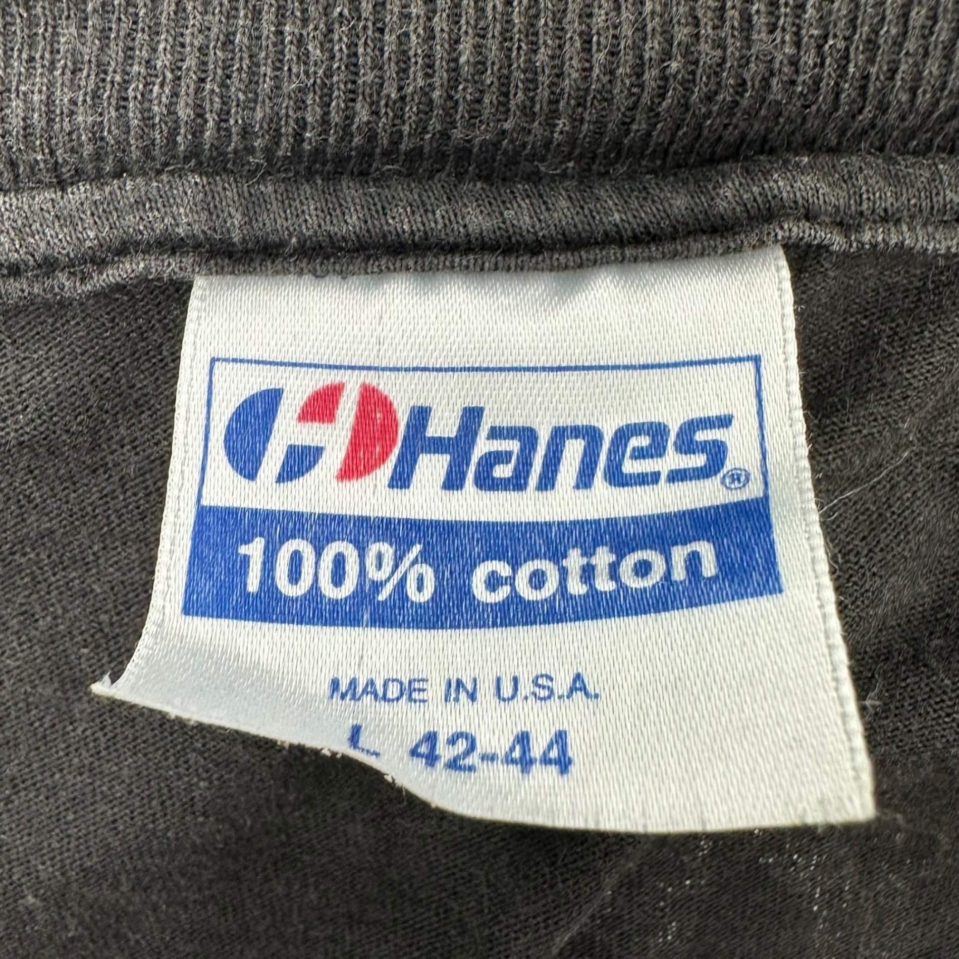 VINTAGE(ヴィンテージ) ©1990 BELL BIV DEVOE” POISON TEE ベル ビヴ デヴォー Tシャツ L ブラック 90's 90年代 ヴィンテージ ヒップホップ ラップ Hanes