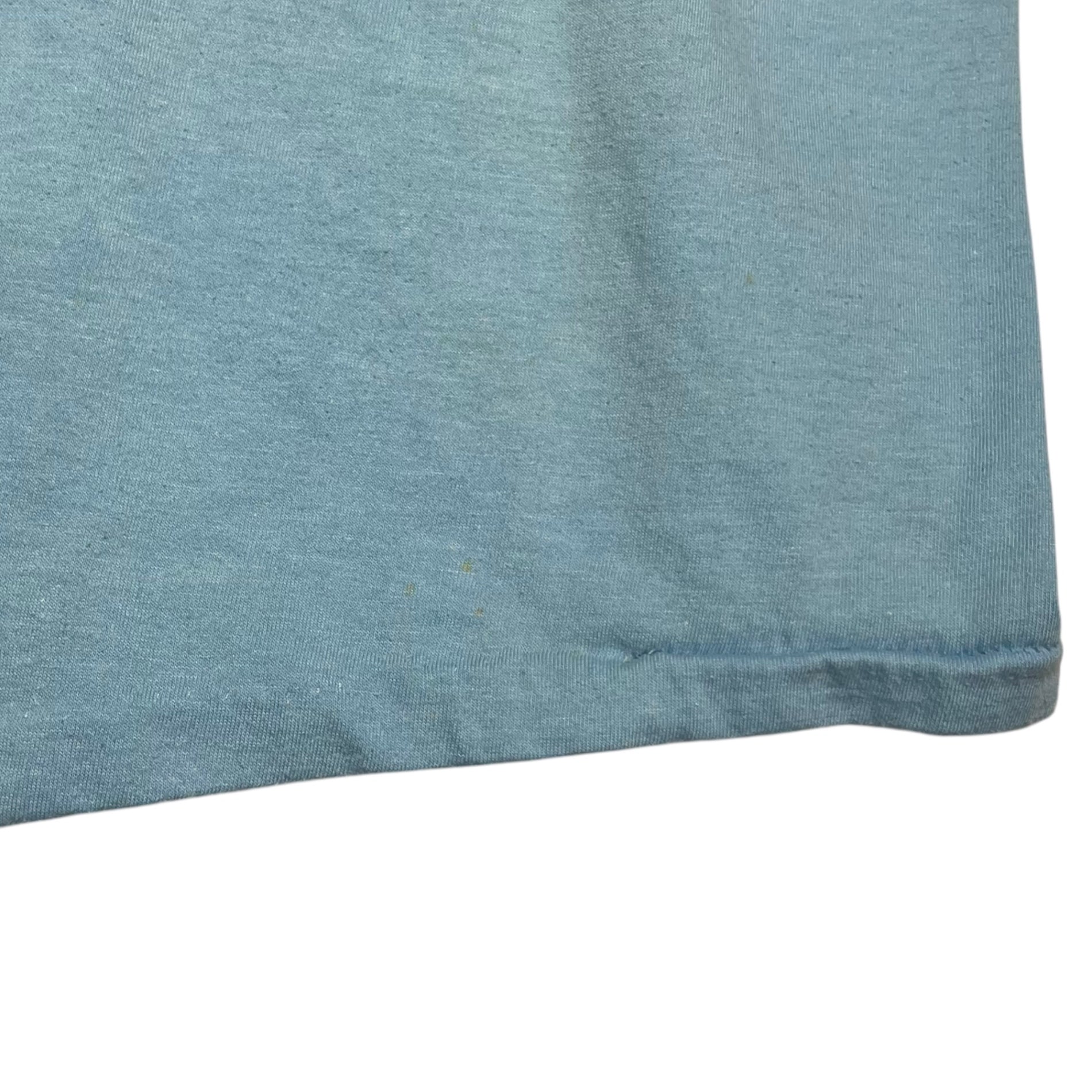 VINTAGE(ヴィンテージ) 70's 1971 SNOOPY #1DAD T-SHIR スヌーピー Tシャツ 70年代 L ライトブルー ARTEXボディ