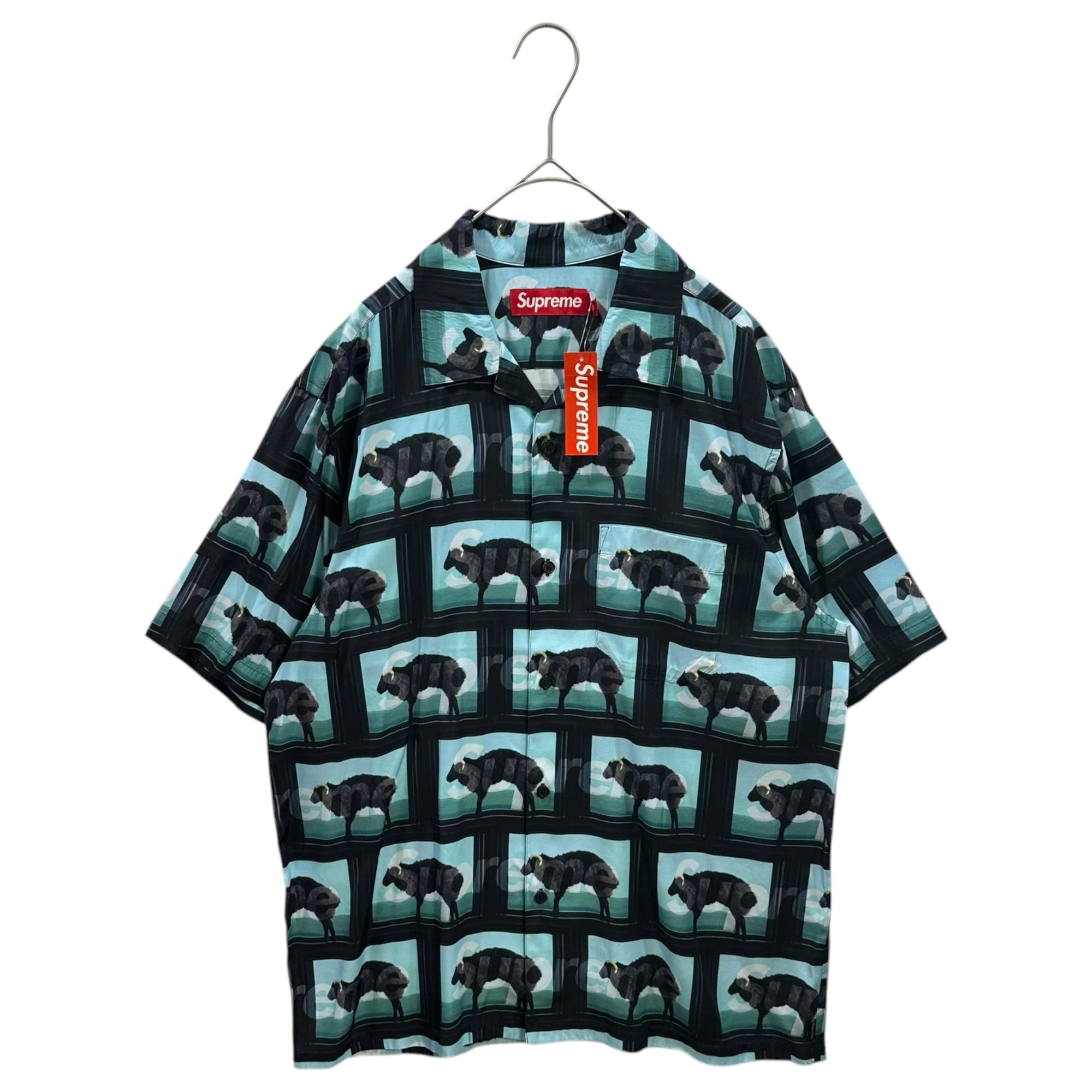 SUPREME(シュプリーム) 2025SS Damien Hirst S/S Shirt ダミアン ハースト 半袖 シャツ S スカイブルー×ブラック レーヨン オープンカラー