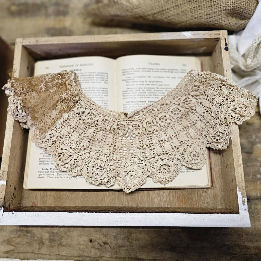 Euro vintage(ヨーロッパヴィンテージ) the cotton delicate lace collar 繊細な花模様レースのコットンつけ襟 ベージュ