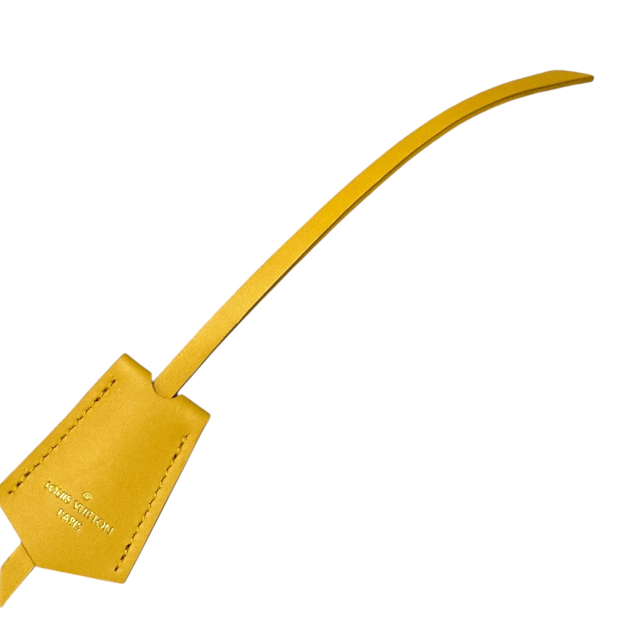 LOUIS VUITTON(ルイヴィトン) 2009 Limited Edition Plate Panam 2009年限定 パナム カメラ バッグ M45507 イエロー SP0049 ショルダー パナームライン テイクオフ