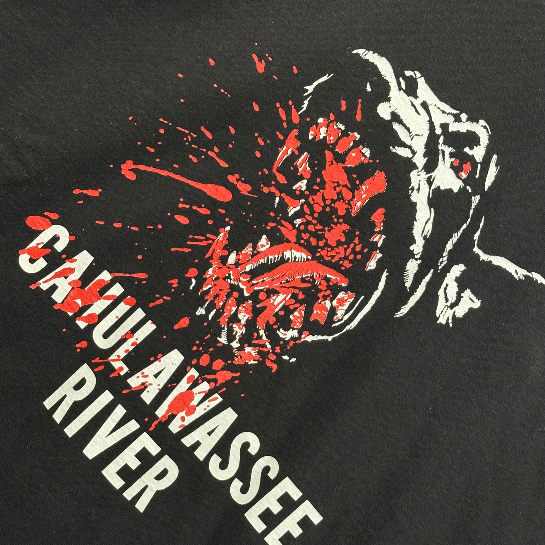 TENDERLOIN(テンダーロイン) PRO CLUB CAHULAWASSEE RIVER TEE プリント Tシャツ M ブラック