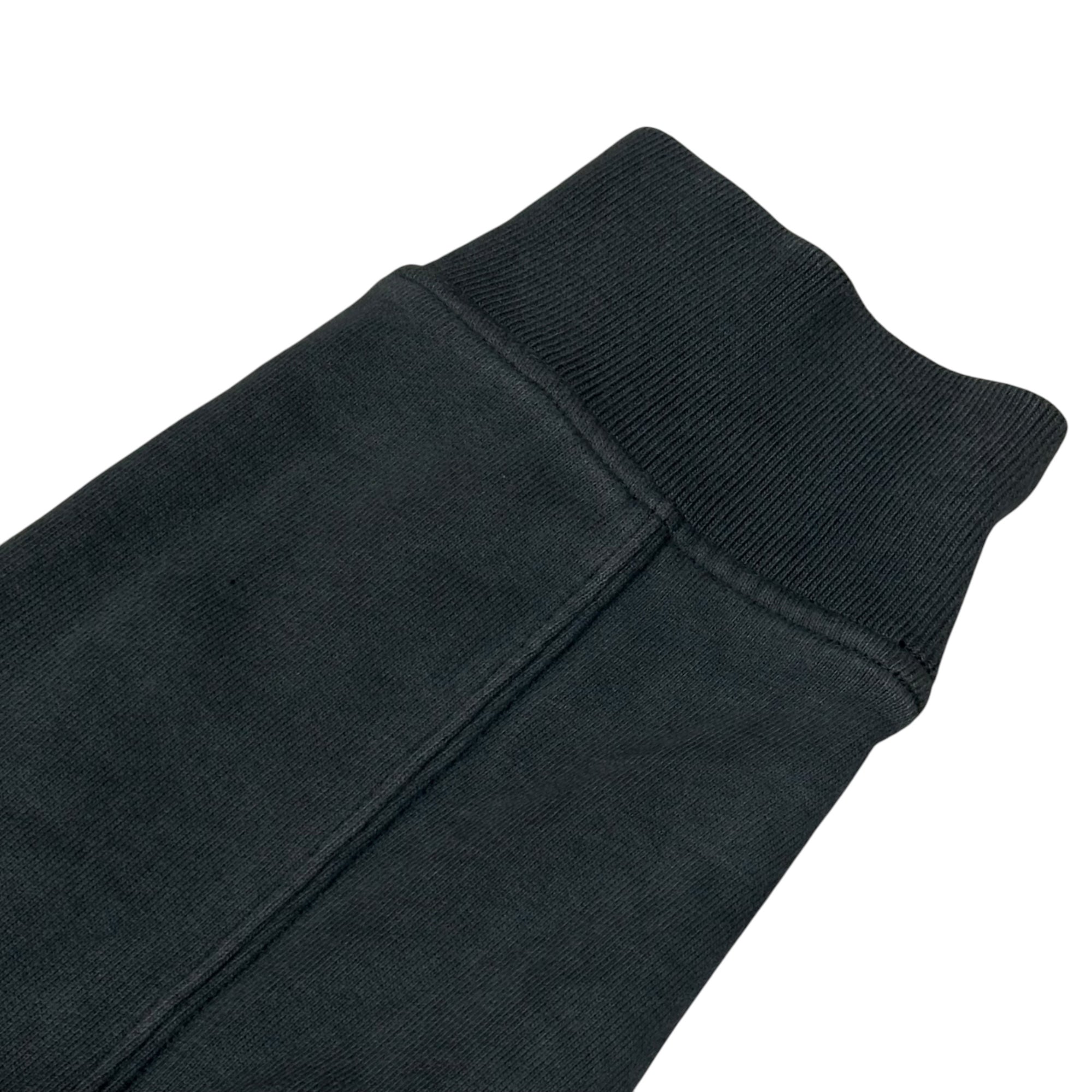 STONE ISLAND(ストーンアイランド) 2023AW Brushed Cotton Pullover Hoodie 裏毛 コットン プルオーバー パーカー 791561720 L グレー