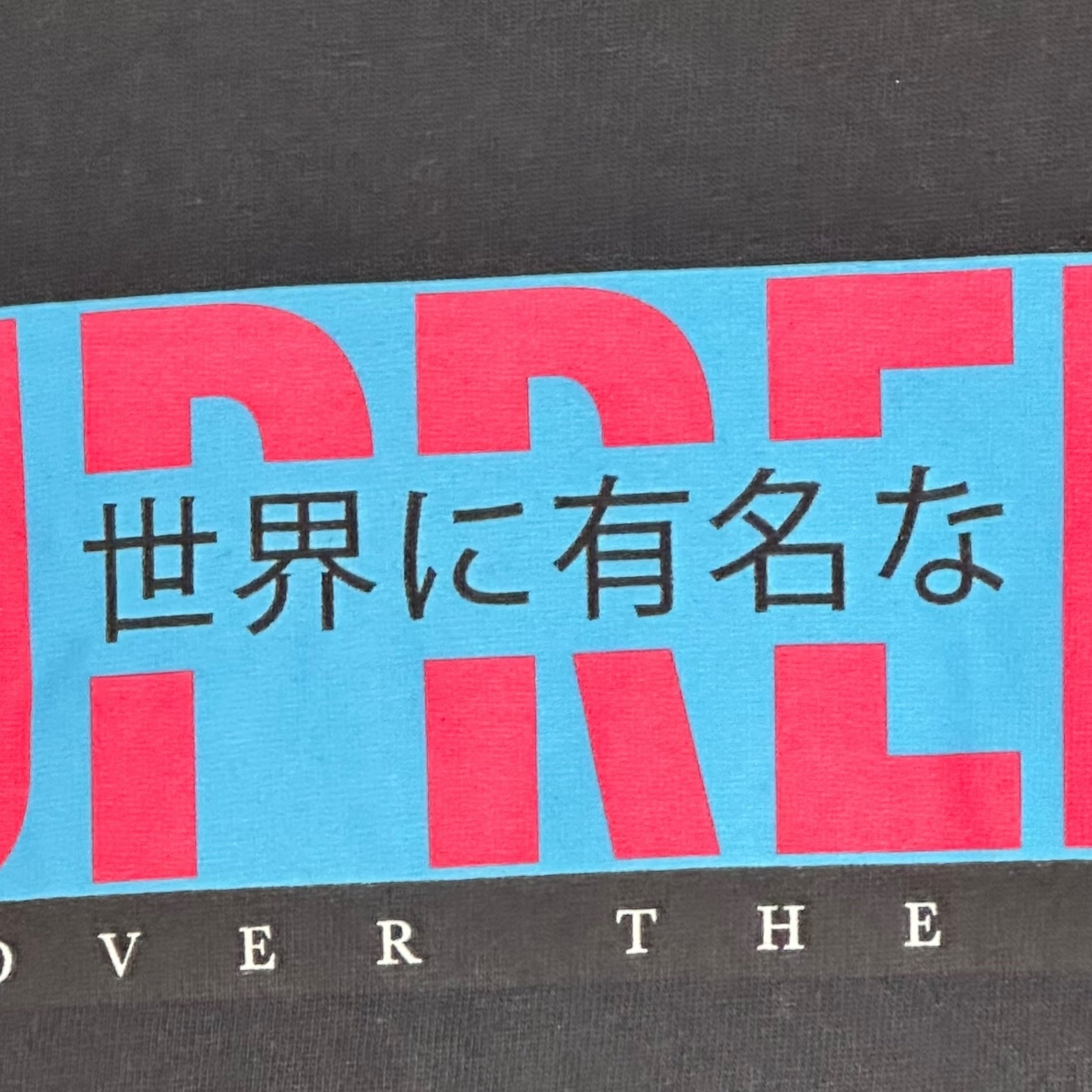 SUPREME(シュプリーム) 22SS All Over Tee ”世界に有名な” ロゴ プリント Tシャツ M ブラック