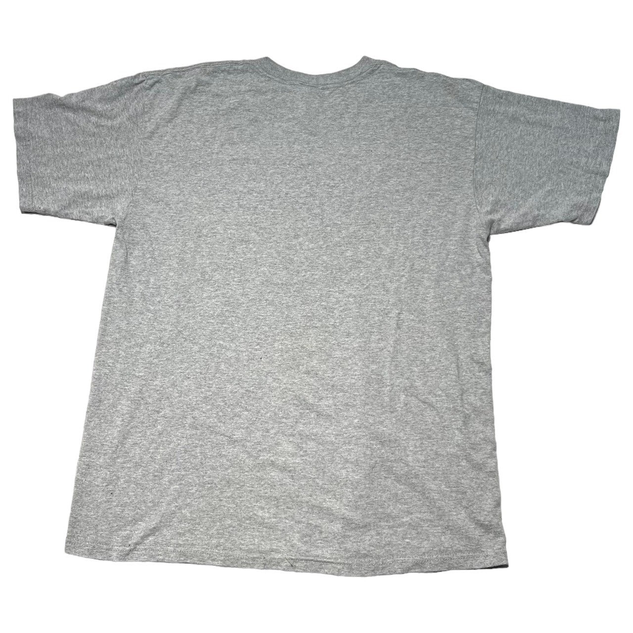 USED(ユーズド) 00's GOING STEADY T-SHIRT ゴーイングステディ Tシャツ L グレー