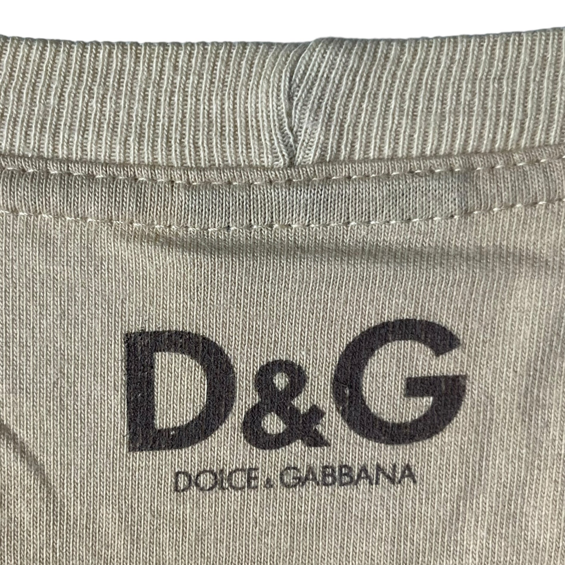 D&G(ディー&ジードルガバドルチェ&ガッバーナ) 00's ”stronger” print TEE プリント Tシャツ L ブラウン Y2K