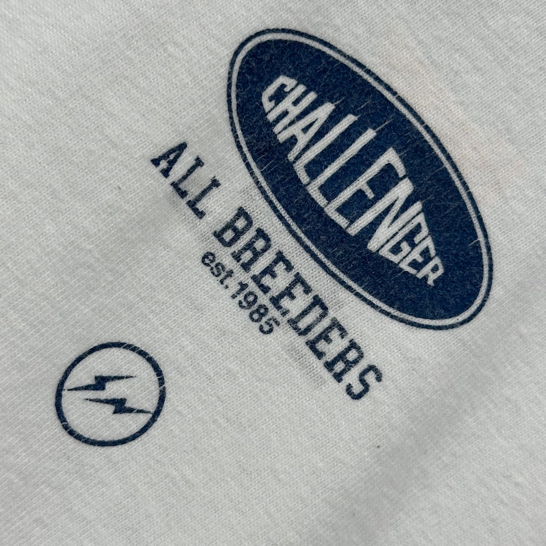 FRAGMENT DESIGN×challenger (フラグメントデザイン×チャレンジャー) Graphic print S/S T-shirt グラフィック プリント 半袖 Tシャツ L ホワイト×ブルー×グレー Hanes body
