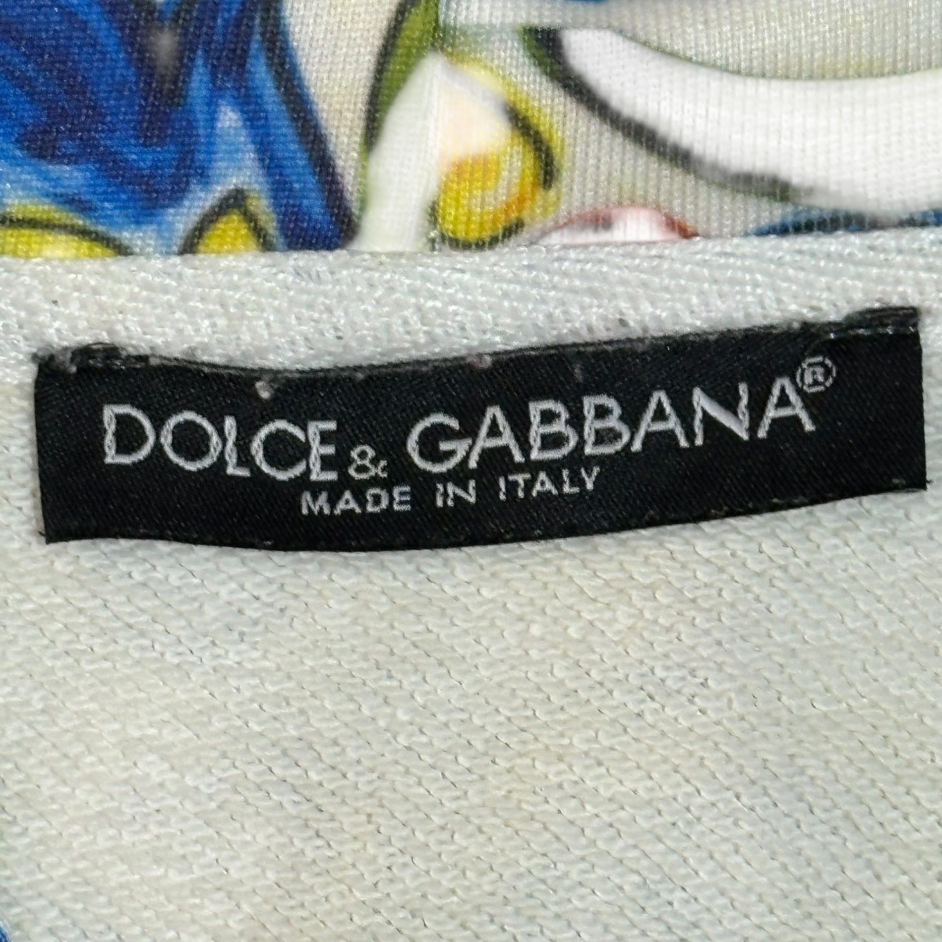 DOLCE&GABBANA(ドルチェ&ガッバーナドルガバ) Mayolica All-over Print Pullover Hoodie マヨリカ 総柄 プルオーバー パーカー G8LA8T FH7B5 M ホワイト×ブルー
