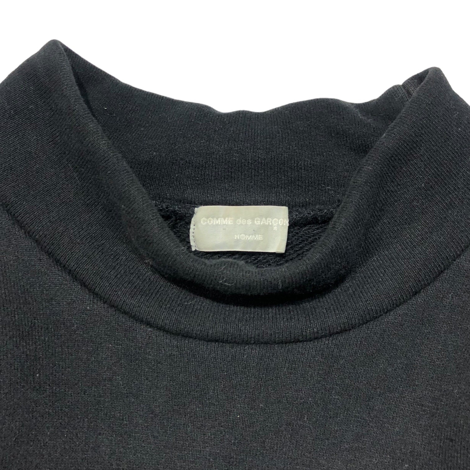 COMME des GARCONS HOMME(コムデギャルソンオム) 90's Back logo mock neck sweatshirt バック ロゴ モック ネック スウェット 田中オム HT-080230 表記無し(M程度) ブラック AD1991