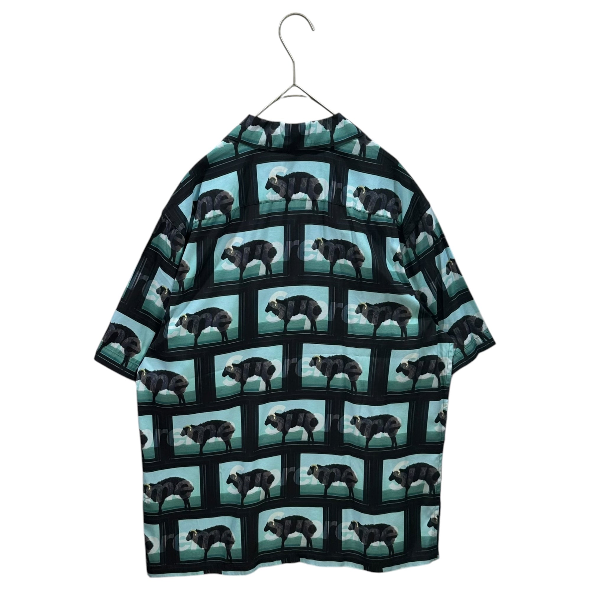 SUPREME(シュプリーム) 2025SS Damien Hirst S/S Shirt ダミアン ハースト 半袖 シャツ S スカイブルー×ブラック レーヨン オープンカラー