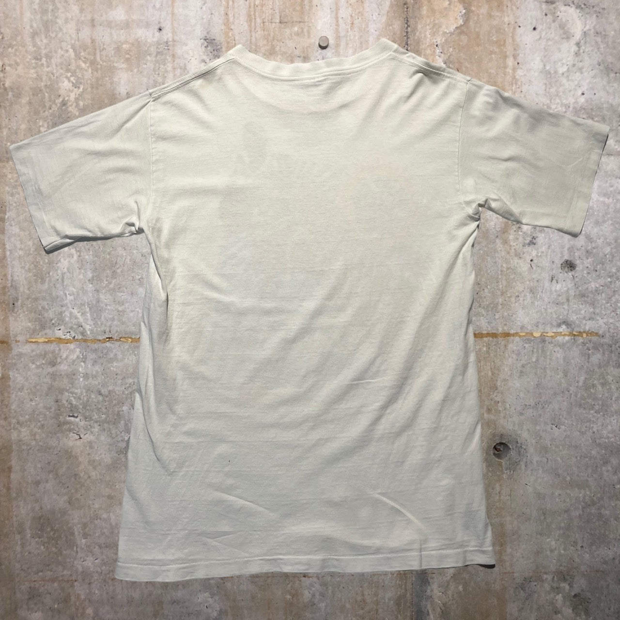 SALEM SPORTSWEAR(サレムスポーツウェア) 90'sJORDANプリントTシャツ