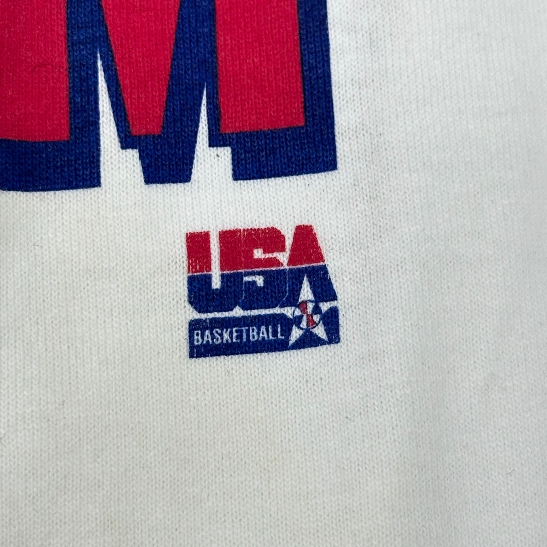VINTAGE(ヴィンテージ) 1996 OLYMPIC CHAMPIONS DREAM TEAM USA T-SHIRT オリンピック チャンピオンズ ドリーム チーム アメリカ Tシャツ L ホワイト×マルチカラー CHAMPIONボディ デッドストック 90年代