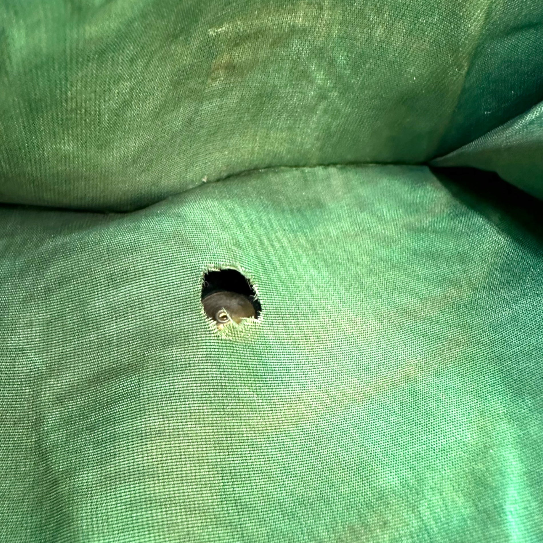 CHANEL(シャネル) 90's キャビア スキン ココマーク 3つ折り 財布 Caviar skin Coco mark tri-fold wallet グリーン 2893724