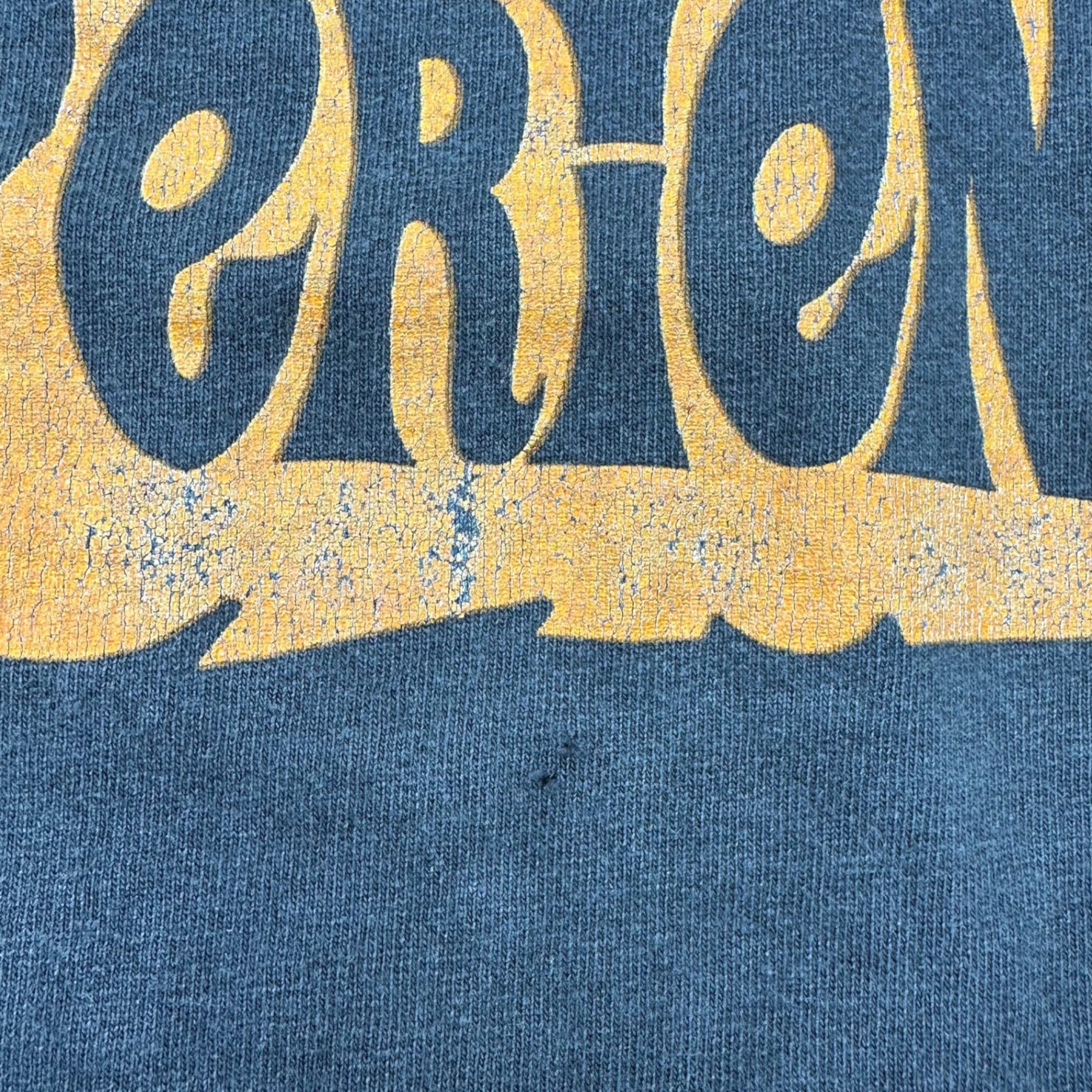 VINTAGE(ヴィンテージ) 90's "The Cypress Hill Experience" Vintage Tee サイプレス ヒル ヴィンテージ Tシャツ L ブラック 90年代 PHUNCKY PHEEL. INC ヒップホップ ラップ