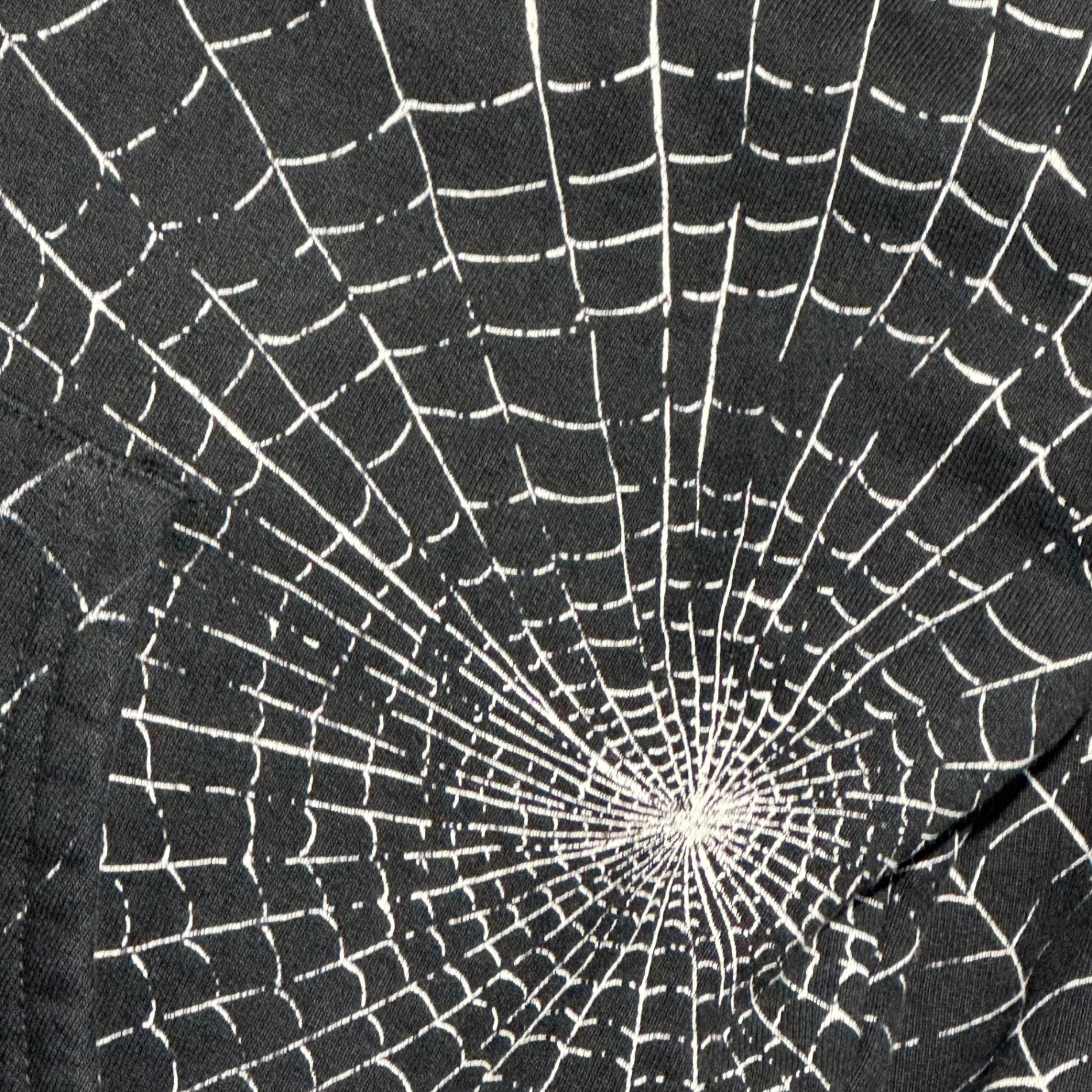 SUPREME(シュプリーム) 16AW Spider Web Hooded Sweatshirt スパイダー プルオーバー パーカー M ブラック 16FW フーディ