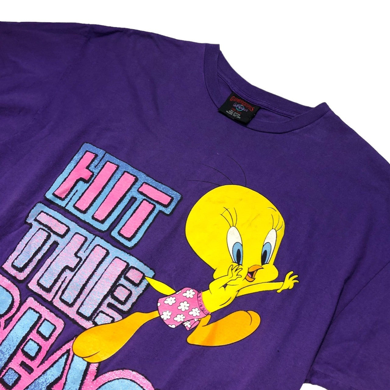 GARMENT GRAPHICS(ガーメントグラフィック) 90’s HIT THE BEACH tweety T-shirt トゥイーティー ヴィンテージ Tシャツ FREE パープル USA製 90年代 アニメ
