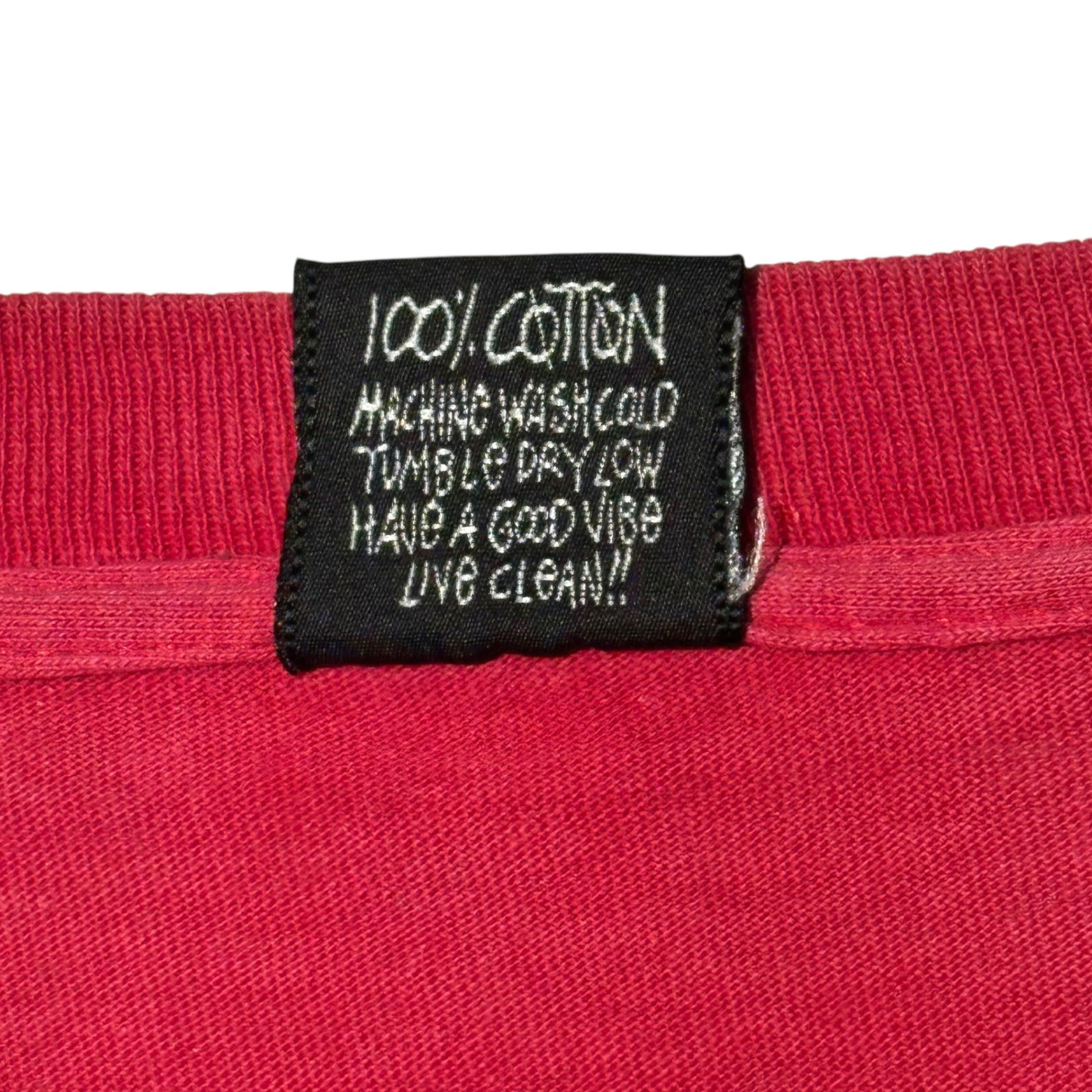 STUSSY(ステューシー) 80's FeeLIN' IRIe INNA SKANKIN' STYLe! Printed T-shirts ラスタ プリント Tシャツ L レッド 80年代~90年代 ヴィンテージ OLD 黒タグ