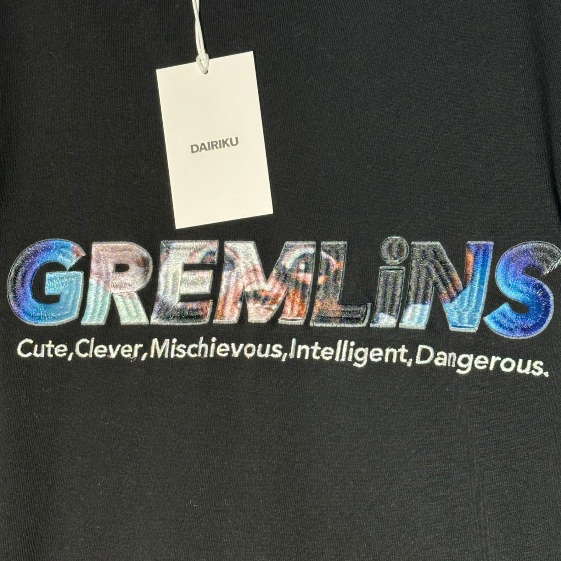 DAIRIKU(ダイリク) 24SS “GREMLiNS” L-S TEE グレムリン 長袖 Tシャツ 24SS C-15 FREE ブラック カットソー