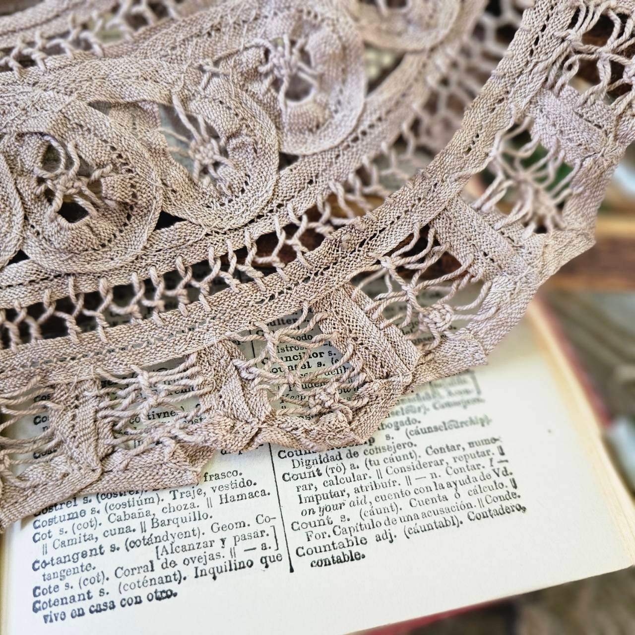 Euro vintage(ヨーロッパヴィンテージ) baten lace mini collar バテンレースのつけ襟 ベージュ