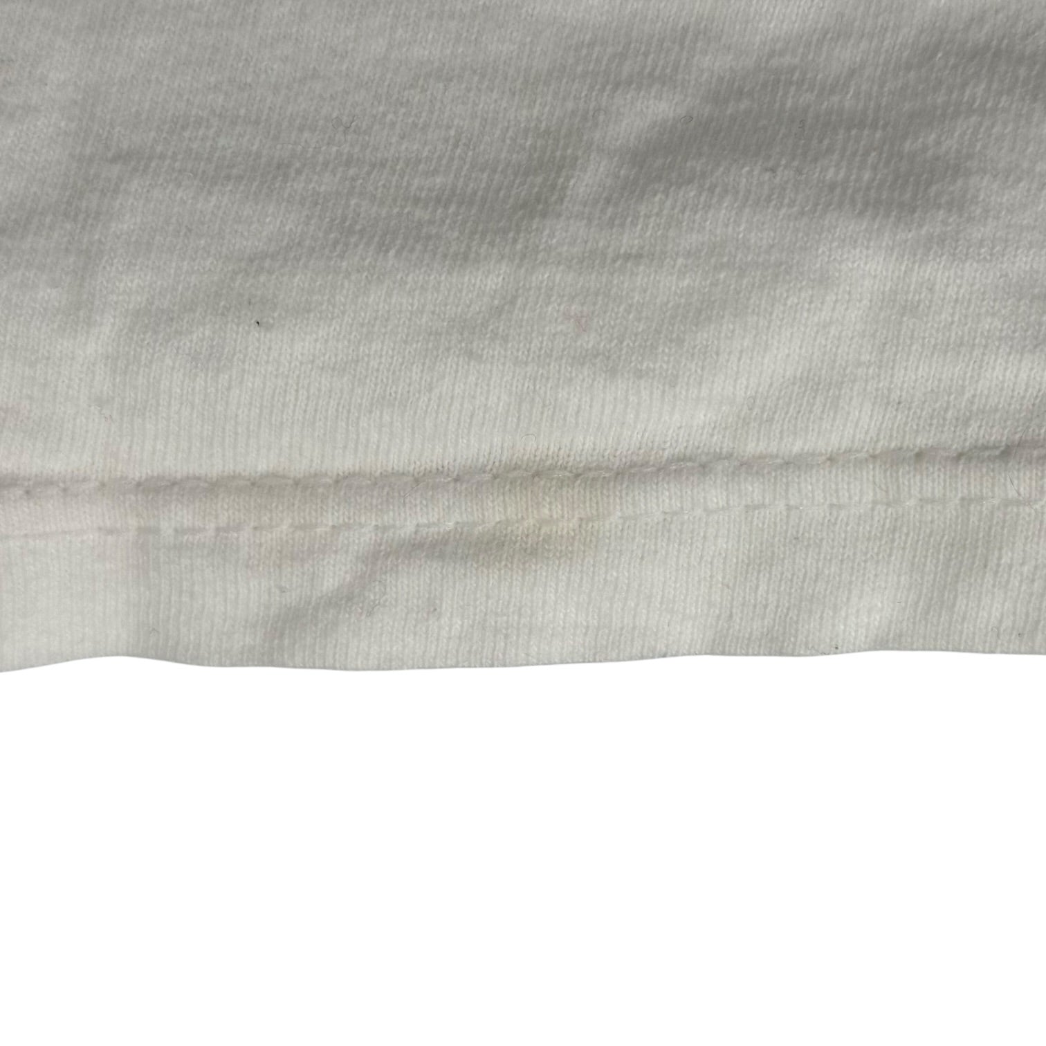 Largely Literary Series(ラージリー リテラリー シリーズ) 90's Charles Darwin Print T-Shirt 90年代 チャールズ ダーウィン プリント Tシャツ XL ホワイト×ブラック SOFFE SHIRTボディ ヴィンテージ 稀少品