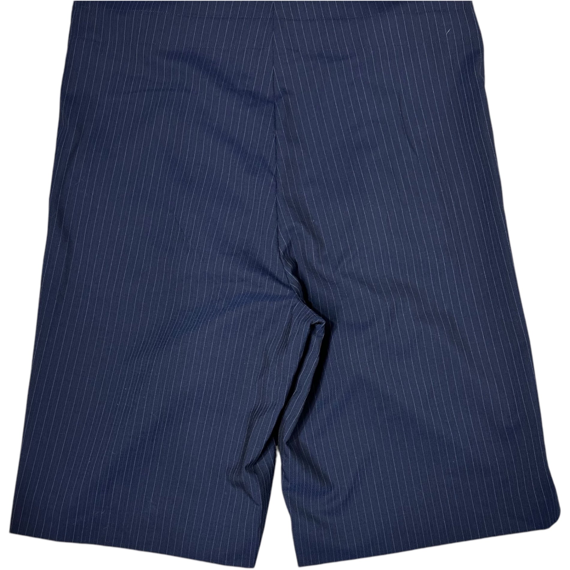 COMME des GARCONS HOMME PLUS(コムデギャルソンオムプリュス) 22SS Micro Pinstripe Overalls マイクロ ピンストライプ オーバーオール PI-P021 M ネイビー AD2021