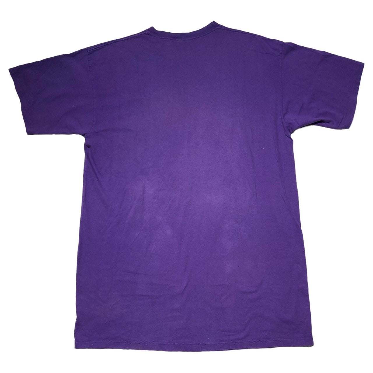 GARMENT GRAPHICS(ガーメントグラフィック) 90’s HIT THE BEACH tweety T-shirt トゥイーティー ヴィンテージ Tシャツ FREE パープル USA製 90年代 アニメ