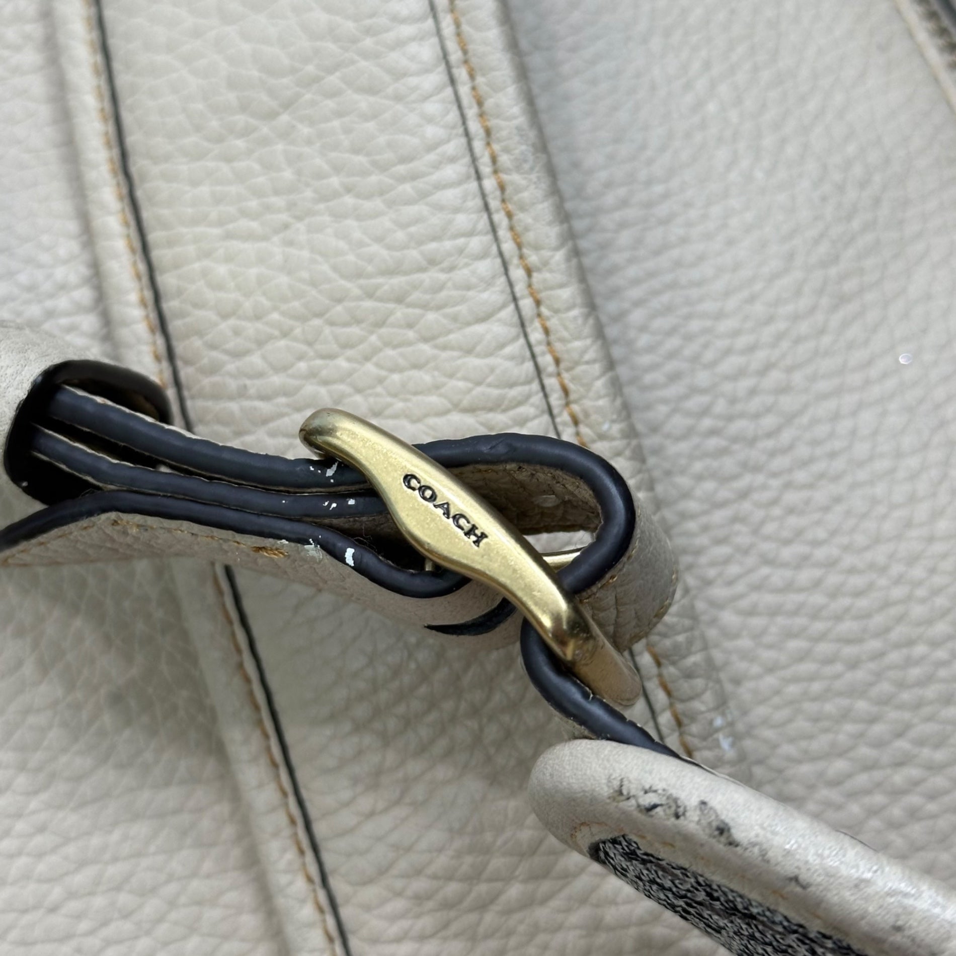 COACH(コーチ) X Mint + Serf Carriage キャリッジ バックパック CE190 ベージュ リュック レザー グラフィック