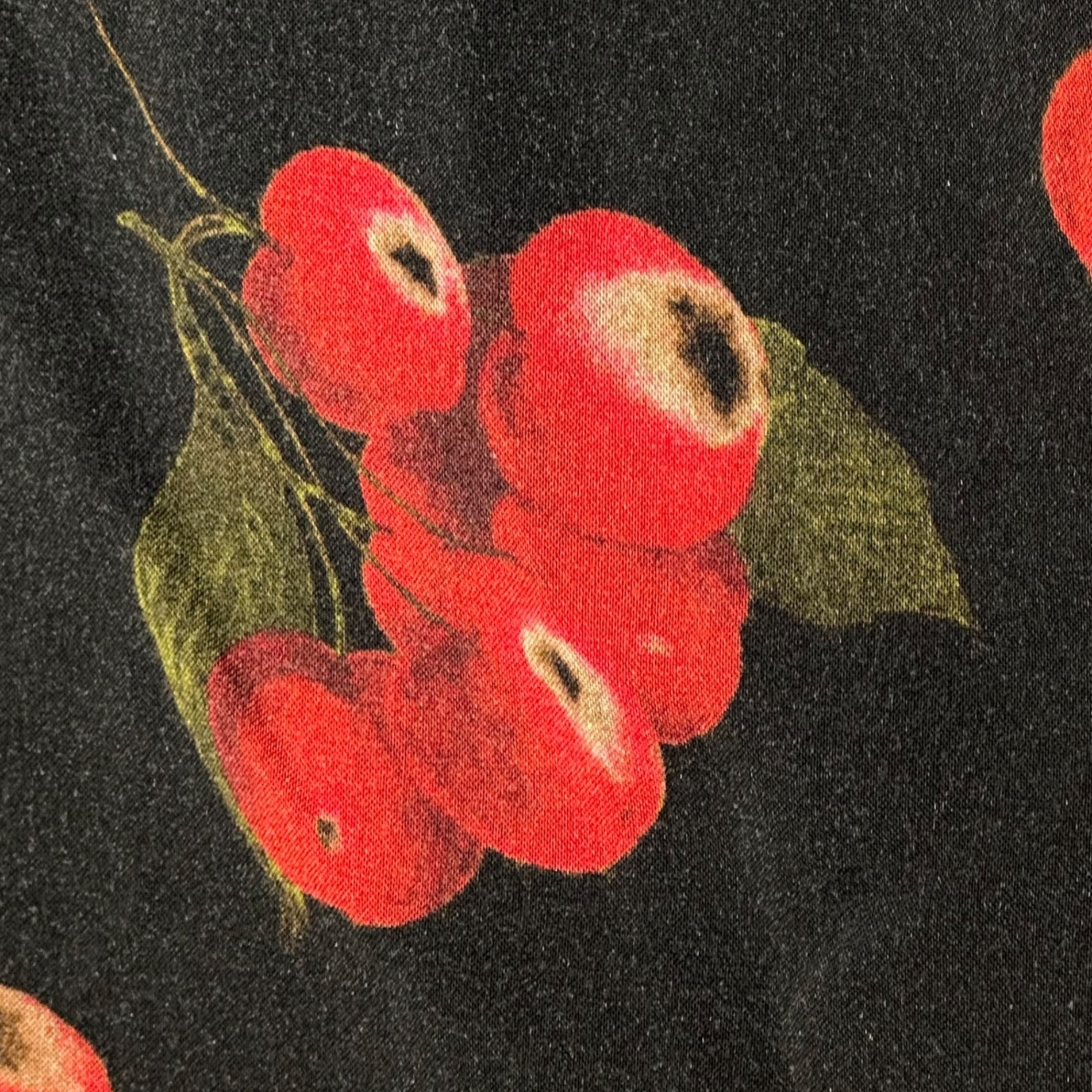 SUPREME(シュプリーム) 19SS cherry rayon shirt チェリー レーヨン シャツ 開襟 M ブラック×レッド