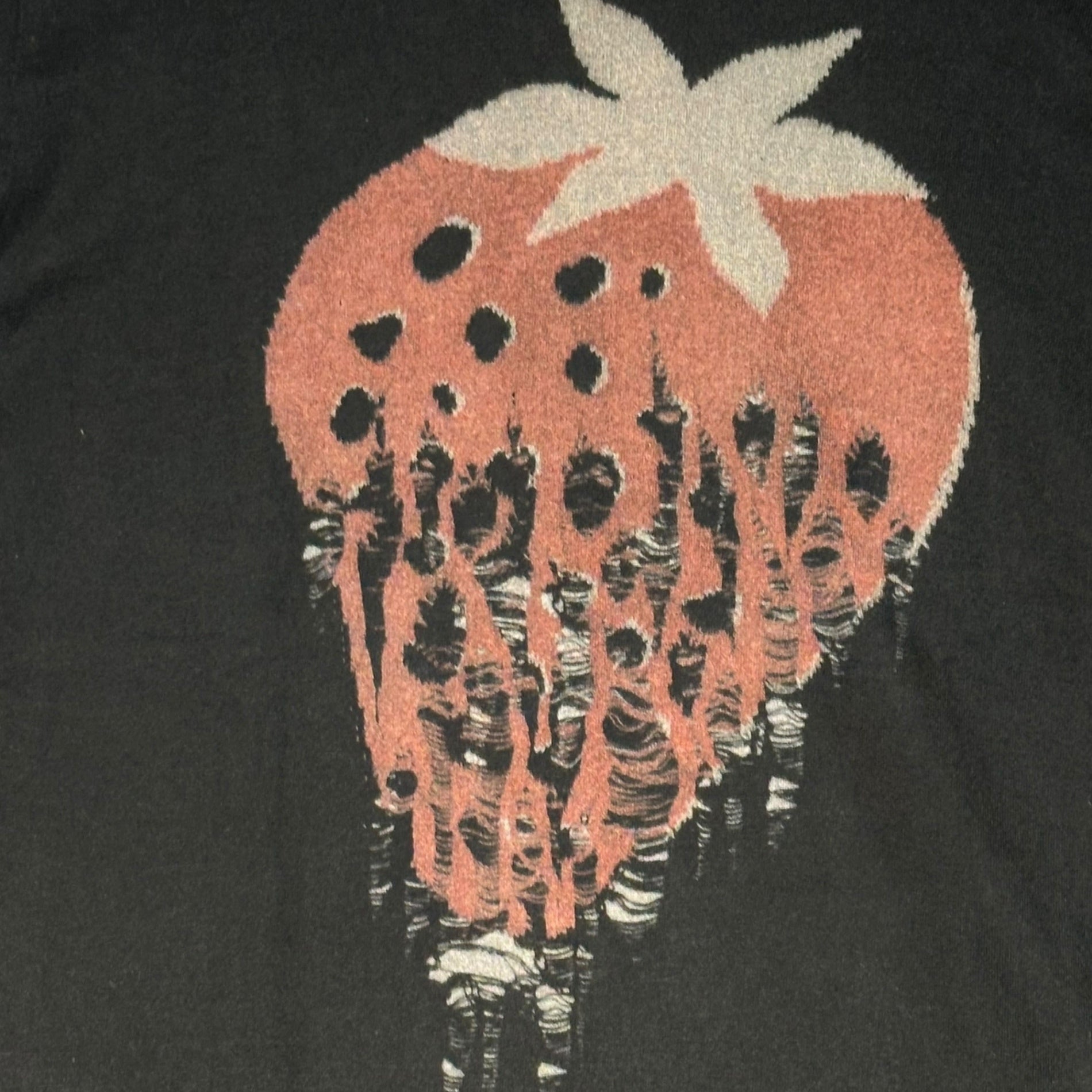 TAO COMME des GARCONS(タオコムデギャルソン) 10SS Punk Strawberry Crew Neck T-Shirt パンク ストロベリー クルーネック Tシャツ 3E-T012 M ブラック×レッド AD2009