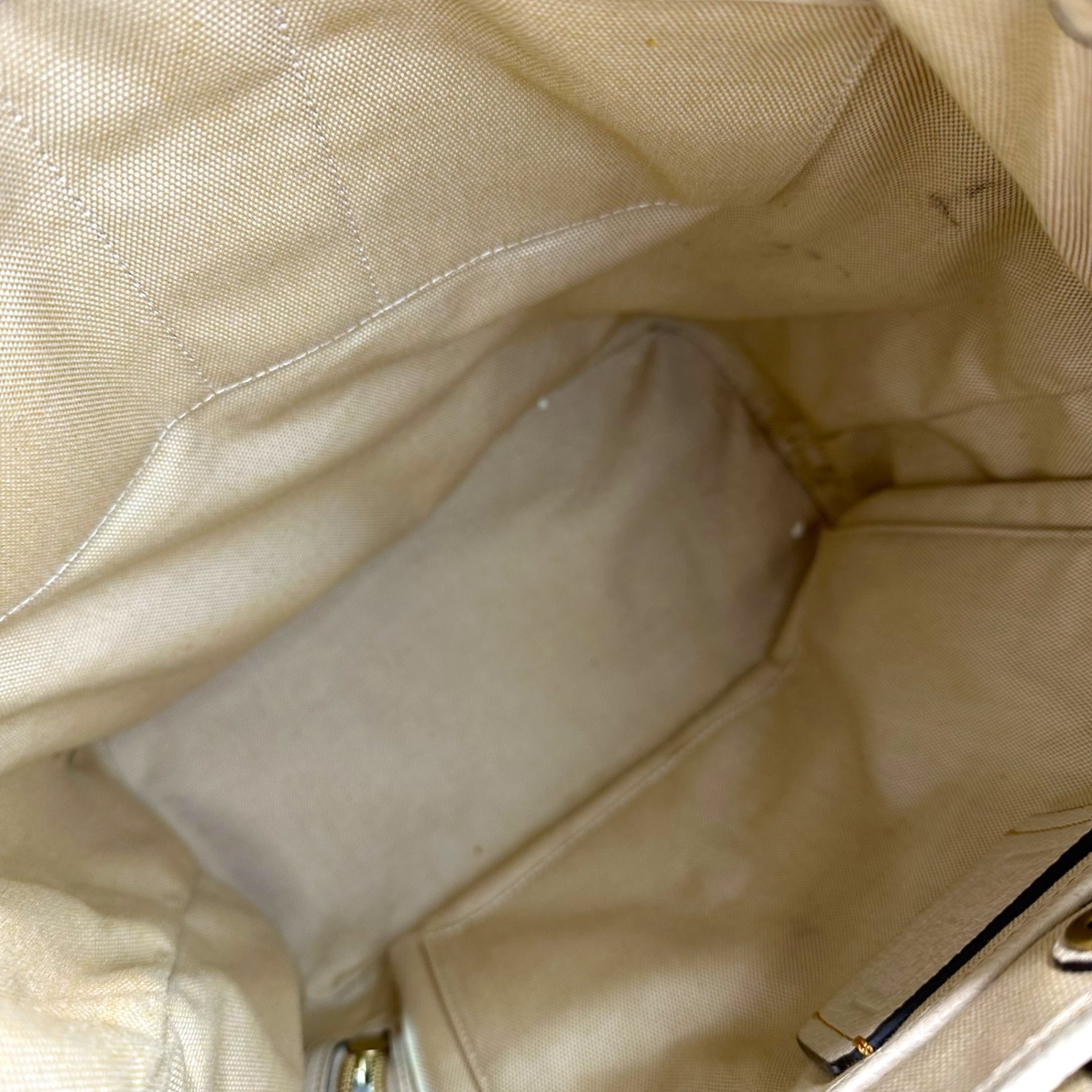 COACH(コーチ) X Mint + Serf Carriage キャリッジ バックパック CE190 ベージュ リュック レザー グラフィック