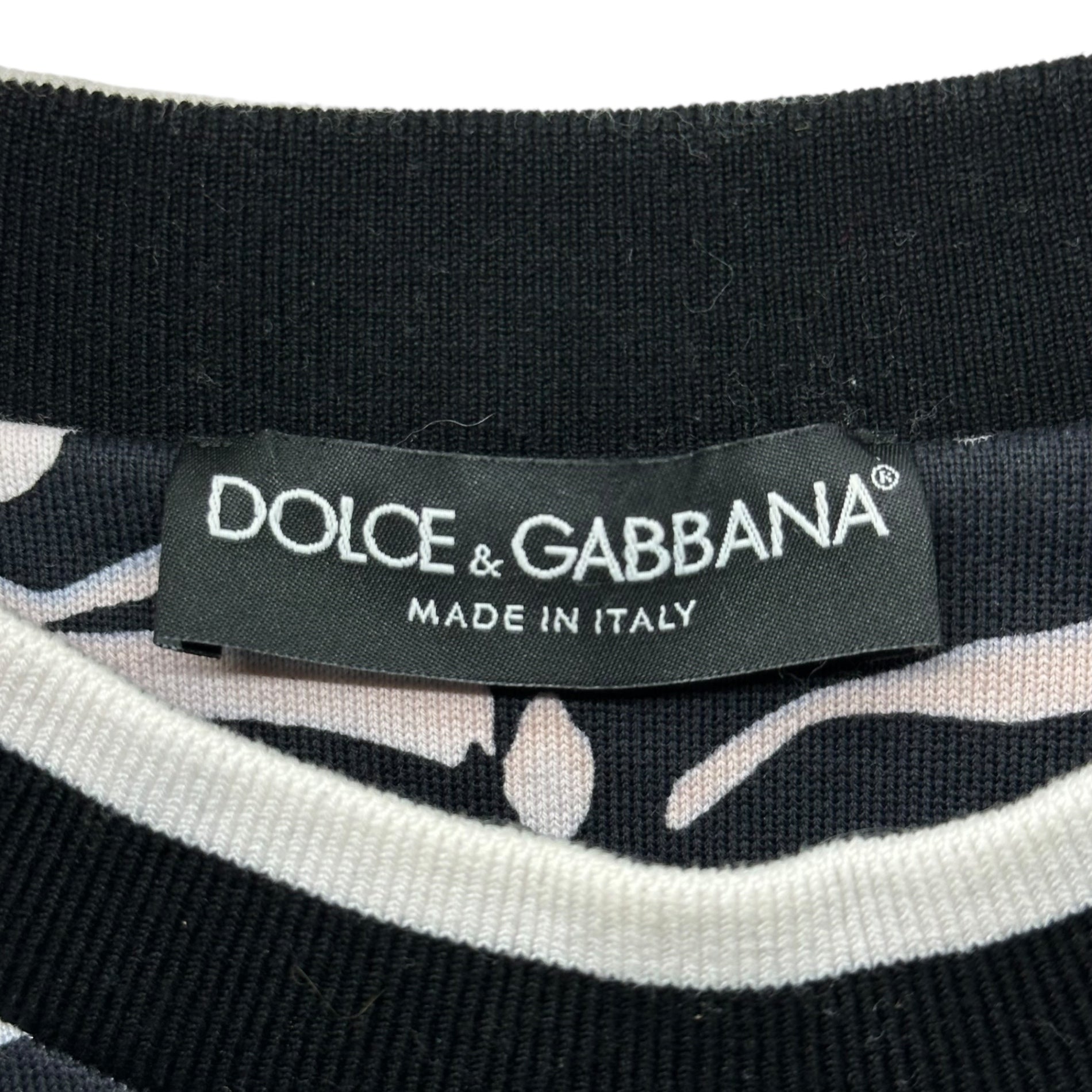 DOLCE&GABBANA(ドルチェ&ガッバーナドルガバ) Zebra Palm Tree Print Sweatshirt ゼブラ ヤシの木 プリント スウェット G9IE3T HP7EK 48(M程度) ブラック×ライトピンク