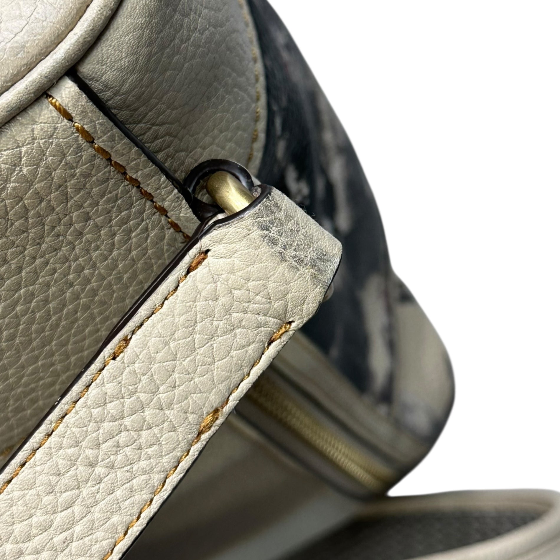 COACH(コーチ) X Mint + Serf Carriage キャリッジ バックパック CE190 ベージュ リュック レザー グラフィック