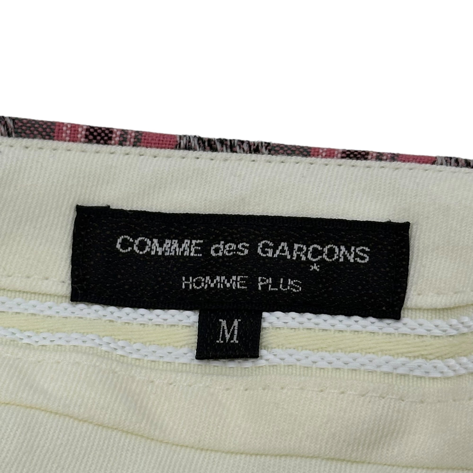 COMME des GARCONS HOMME PLUS(コムデギャルソンオムプリュス) 20AW Tartan Check Wide Slacks Pants タータン チェック ワイド スラックス パンツ PF-P042 M グレー×ピンク AD2020 SAMPLE品