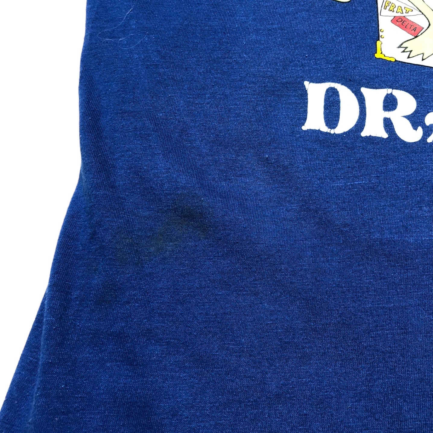 Champion(チャンピオン) 80's "Kermit" print DRAKE T-shirt カーミット ヴィンテージ Tシャツ M ブルー 80年代 トリコ タグ コピーライト