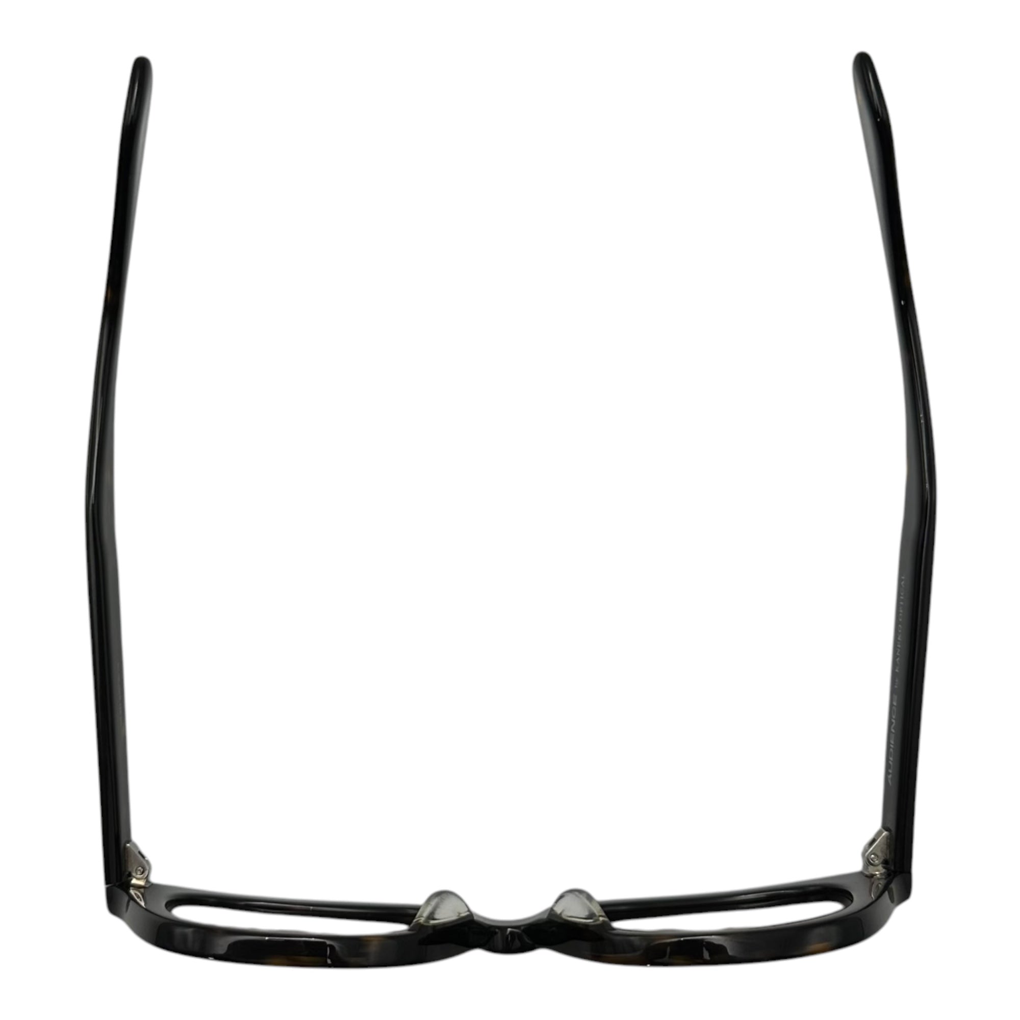 KANEKO OPTICAL(金子眼鏡) AUDIENCE Tortoiseshell wayfarer sunglasses オーディエンス ウエリントン サングラス 鼈甲 AUS-026 ブラウン