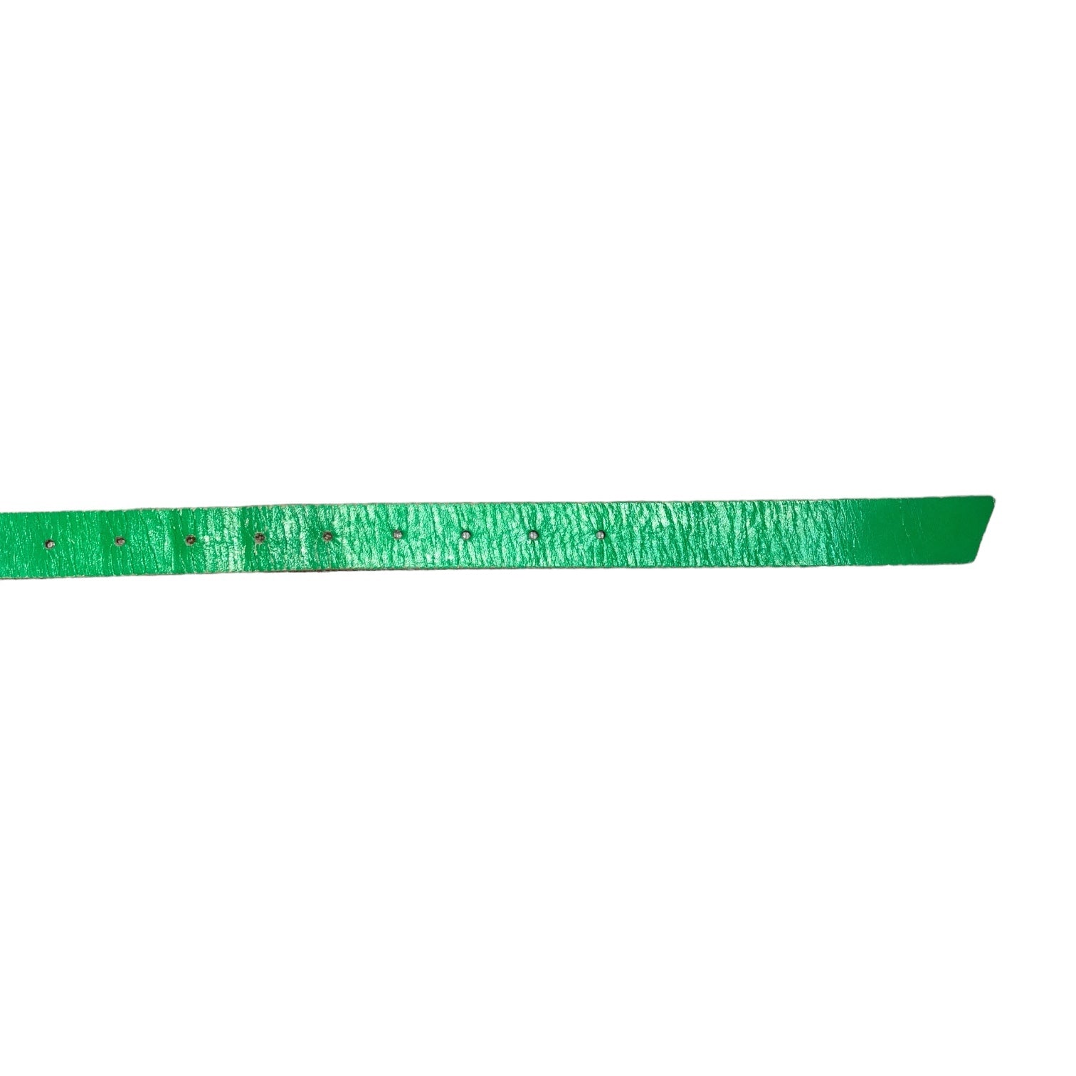 COMME des GARCONS HOMME PLUS(コムデギャルソンオムプリュス) green color leather belt グリーンカラー レザー ベルト PF-K304 S グリーン 本革