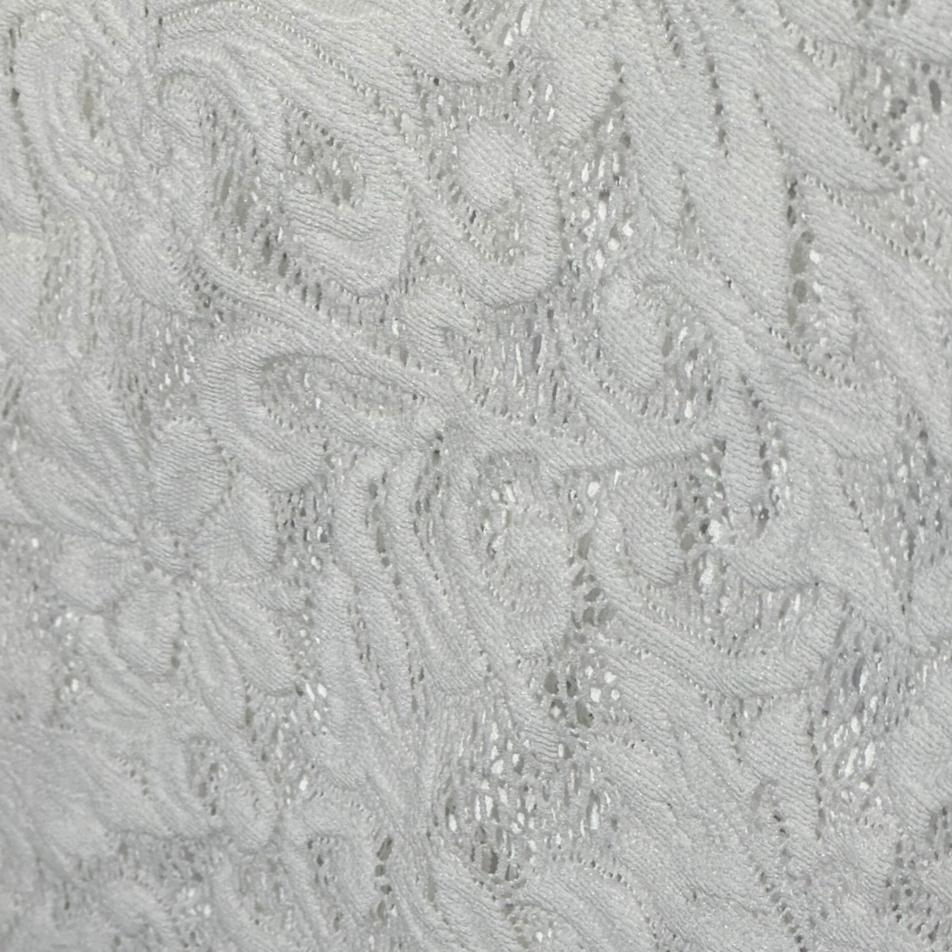 COMME des GARCONS HOMME PLUS(コムデギャルソンオムプリュス) 25SS Estelle Russell Lace Product Wash L/S T-Shirt エステル ラッセルレース 製品洗い ロング スリーブ Tシャツ PO-T034 S ホワイト 長袖