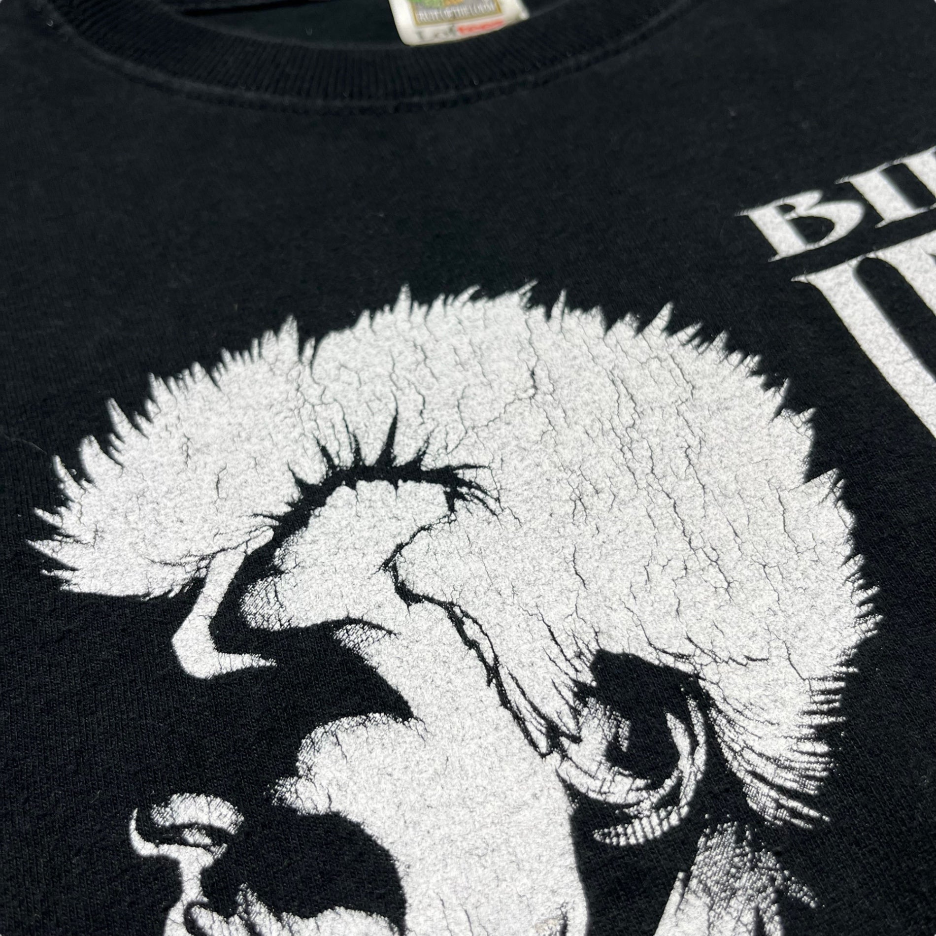 FRUIT OF THE LOOM(フルーツオブザルーム) 00's "BILLY IDOL STEVE STEVENS" band T-shirt バンド Tシャツ M ブラック スティーヴ・スティーヴンス ビリー・アイドル