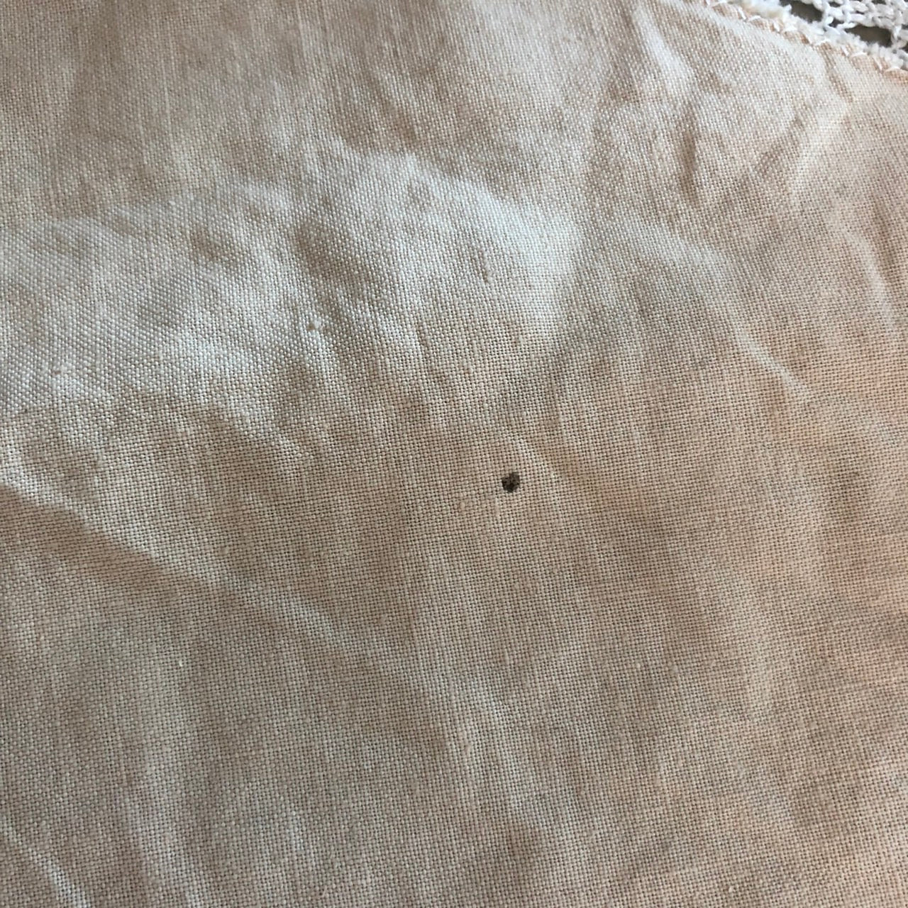 Vintage(ヴィンテージ) What_ラウンドレースの刺繍生地 ピンク