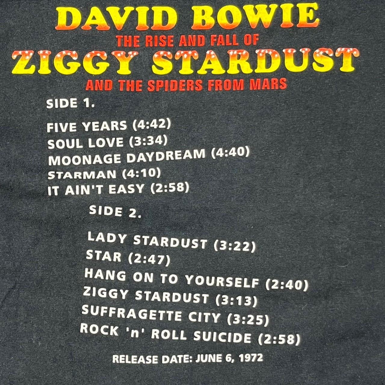 anvil(アンビル) 90’s"DAVID BOWIE" バンドTシャツ L ブラック ©1998 Stenton S.A. ZIGGY STARDUST