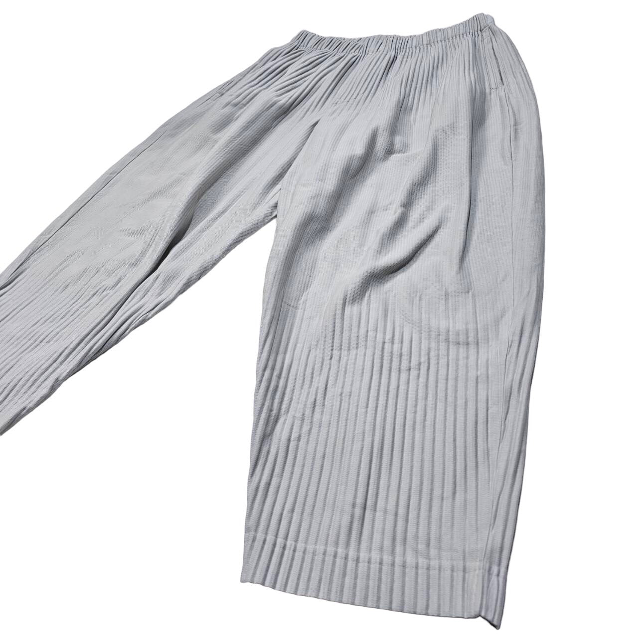 HOMME PLISSE ISSEY MIYAKE(オムプリッセイッセイミヤケ) BASICS matte full-length pleated pants/ベーシックス艶消しフルレングスプリーツパンツ HP55JF151 SIZE 1(S) ライトグレー