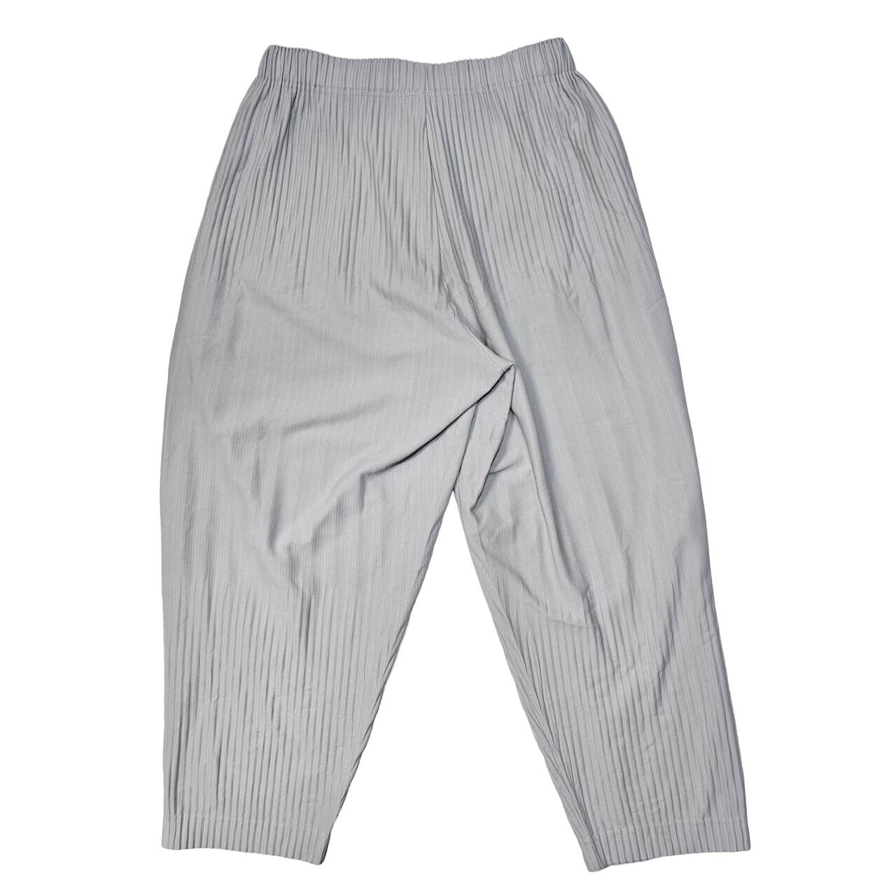 HOMME PLISSE ISSEY MIYAKE(オムプリッセイッセイミヤケ) BASICS matte full-length pleated pants/ベーシックス艶消しフルレングスプリーツパンツ HP55JF151 SIZE 1(S) ライトグレー