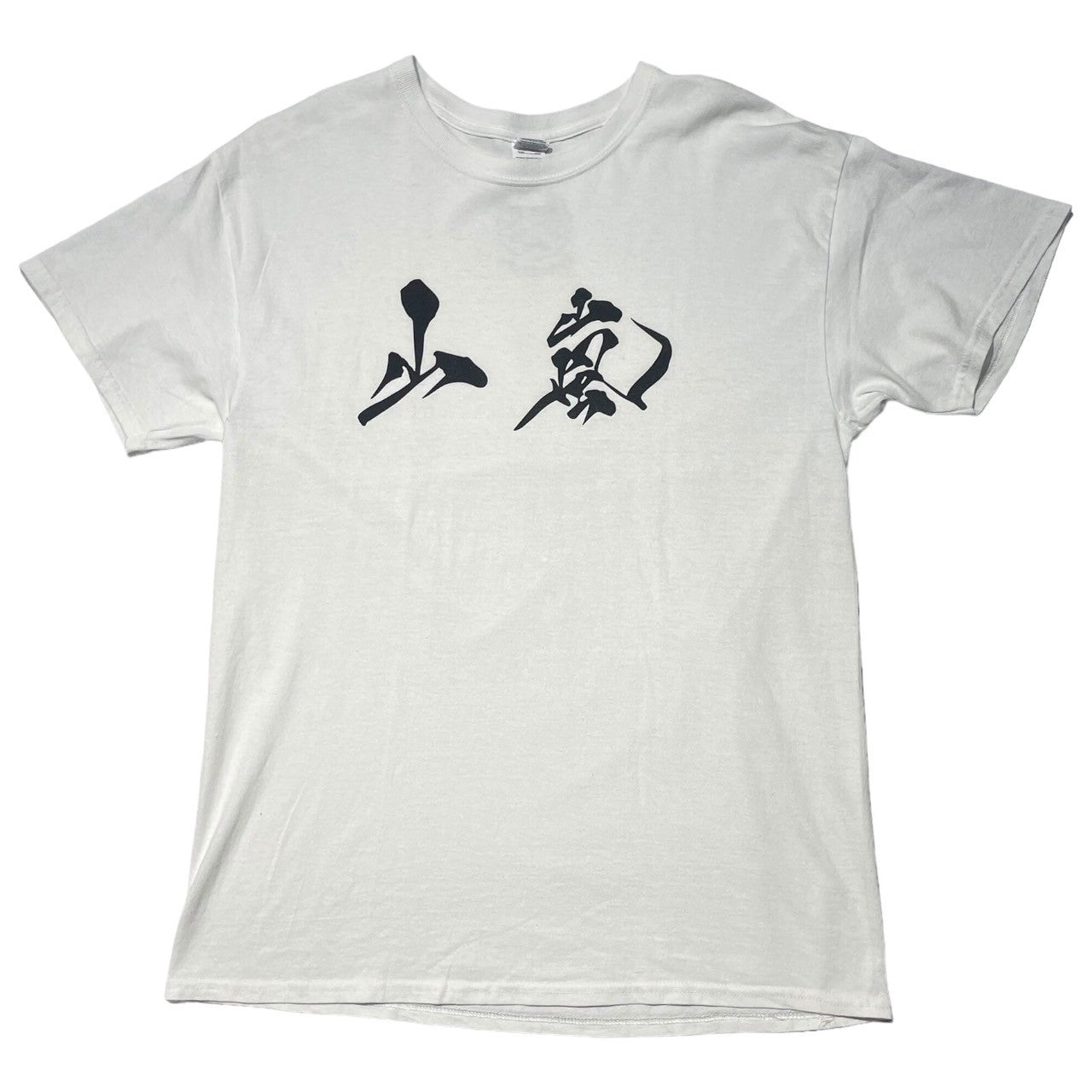 VINTAGE(ヴィンテージ) 90's YAMAARASHI T-SHIRT 90年代 山嵐 Tシャツ L ホワイト×ブラック 山嵐公式Tee 稀少