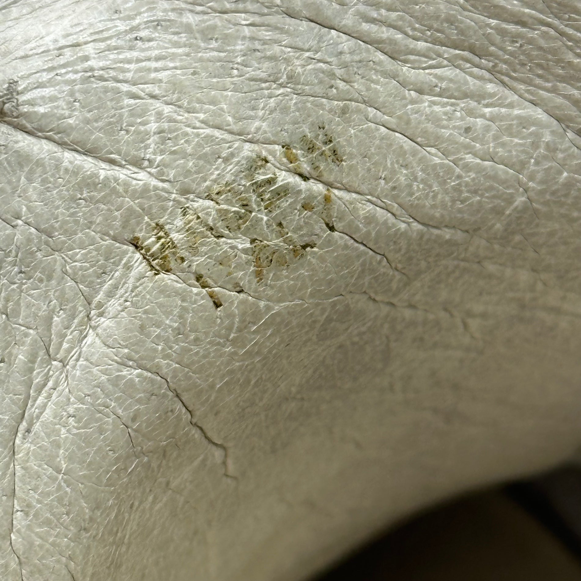 Maison Martin Margiela(メゾン マルタンマルジェラ) 2006SS Graffiti