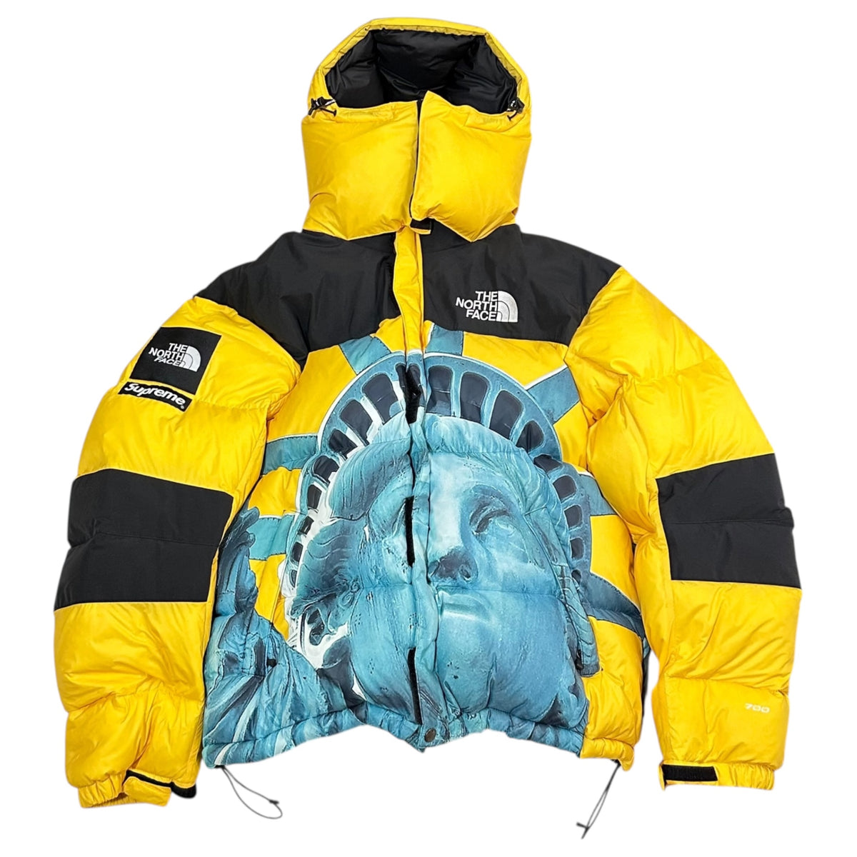 SUPREME×THE NORTH FACE(ノースフェイス×シュプリーム) 19AW Statue of 