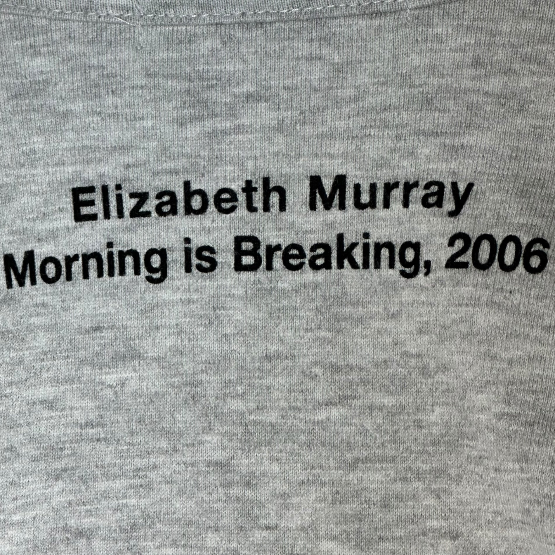 COMME des GARCONS(コムデギャルソン) Elizabeth MURRAY Print T-Shirt エリザベスマレー プリント Tシャツ OC-T017 L グレー×マルチカラー AD2009 男性着用可能