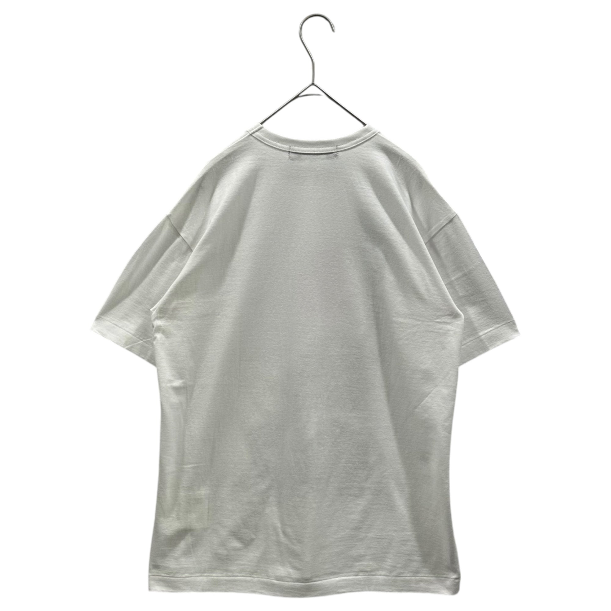 BLACK COMME des GARCONS(ブラックコムデギャルソン) 2017AW FILIP PAGOWSKI T-SHIRT フィリップ パゴウスキー Tシャツ 1T-T003 L ホワイト 薔薇 チェーン