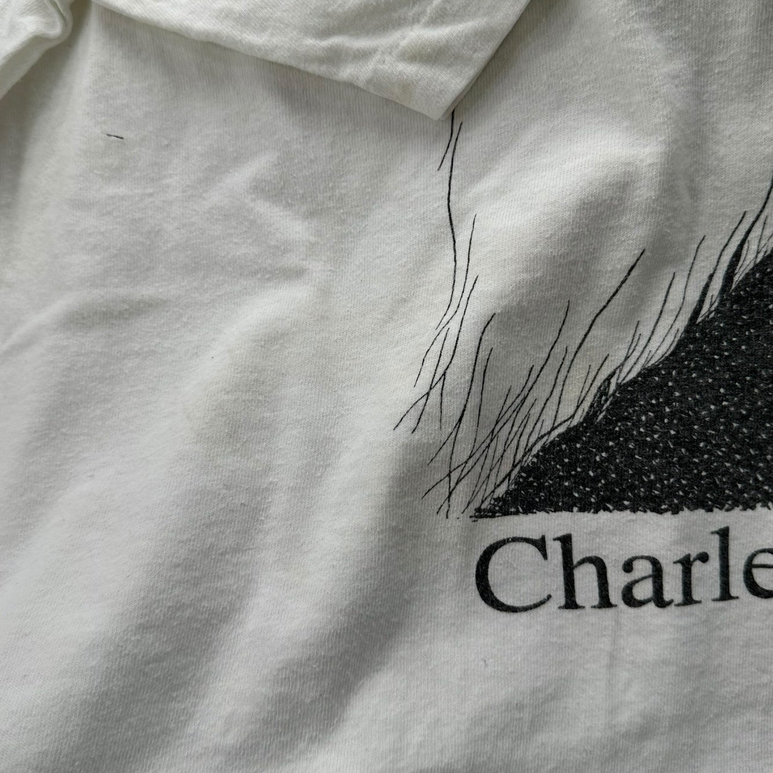 Largely Literary Series(ラージリー リテラリー シリーズ) 90's Charles Darwin Print T-Shirt 90年代 チャールズ ダーウィン プリント Tシャツ XL ホワイト×ブラック SOFFE SHIRTボディ ヴィンテージ 稀少品