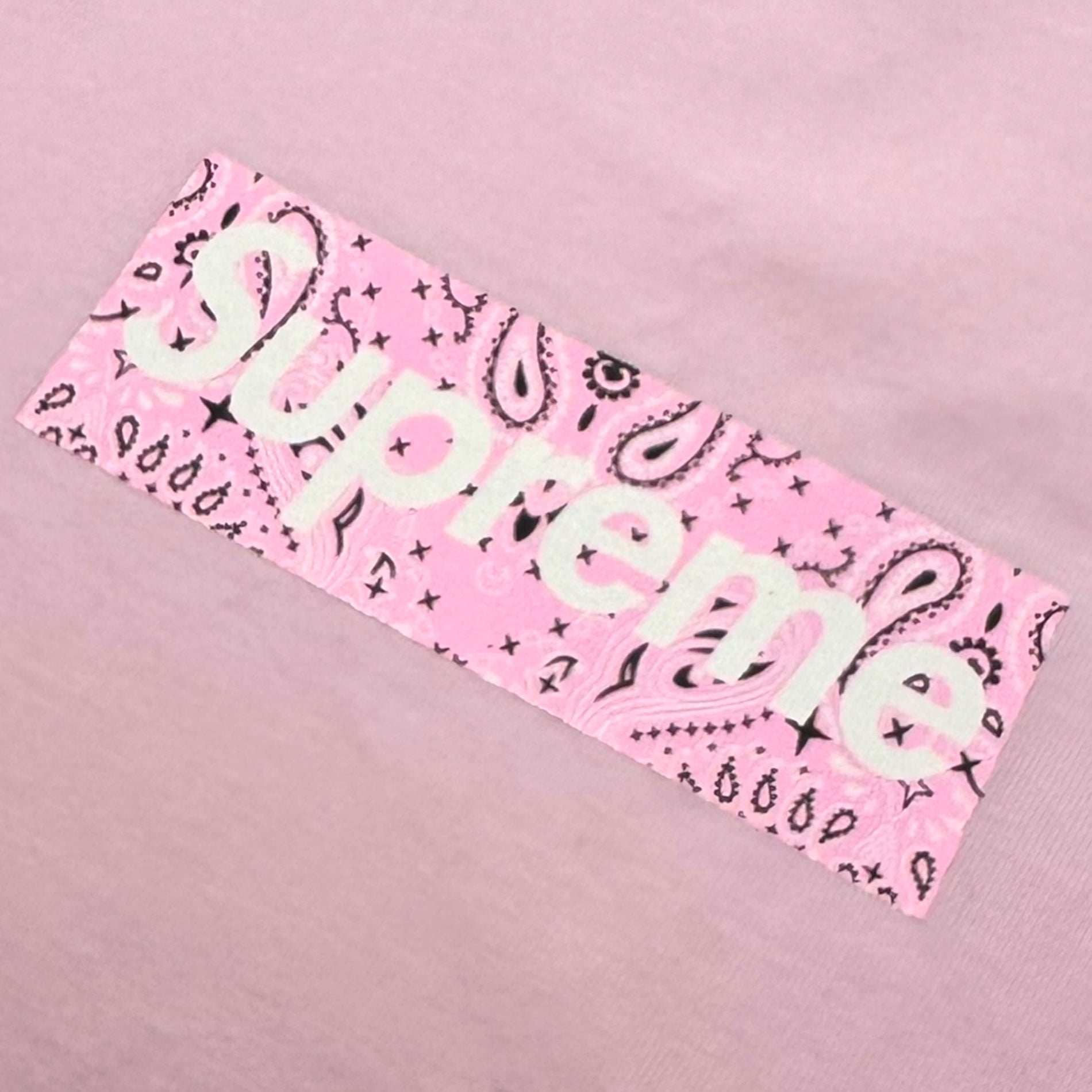 SUPREME(シュプリーム) 19AW Bandana Box Logo Tee バンダナ ボックス ロゴ Tシャツ S ピンク